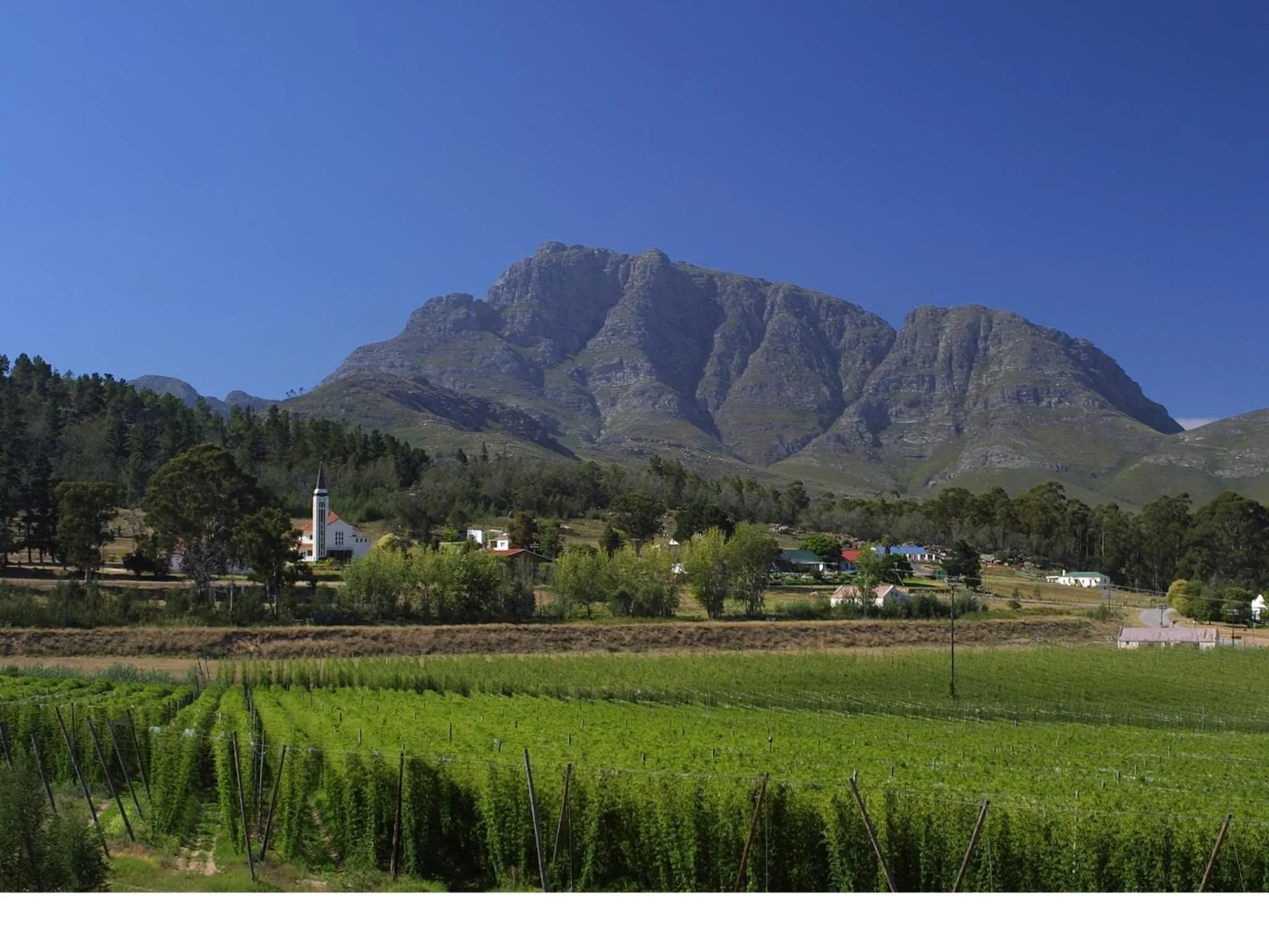 Mountain view in Over The Mountain Guest Farm