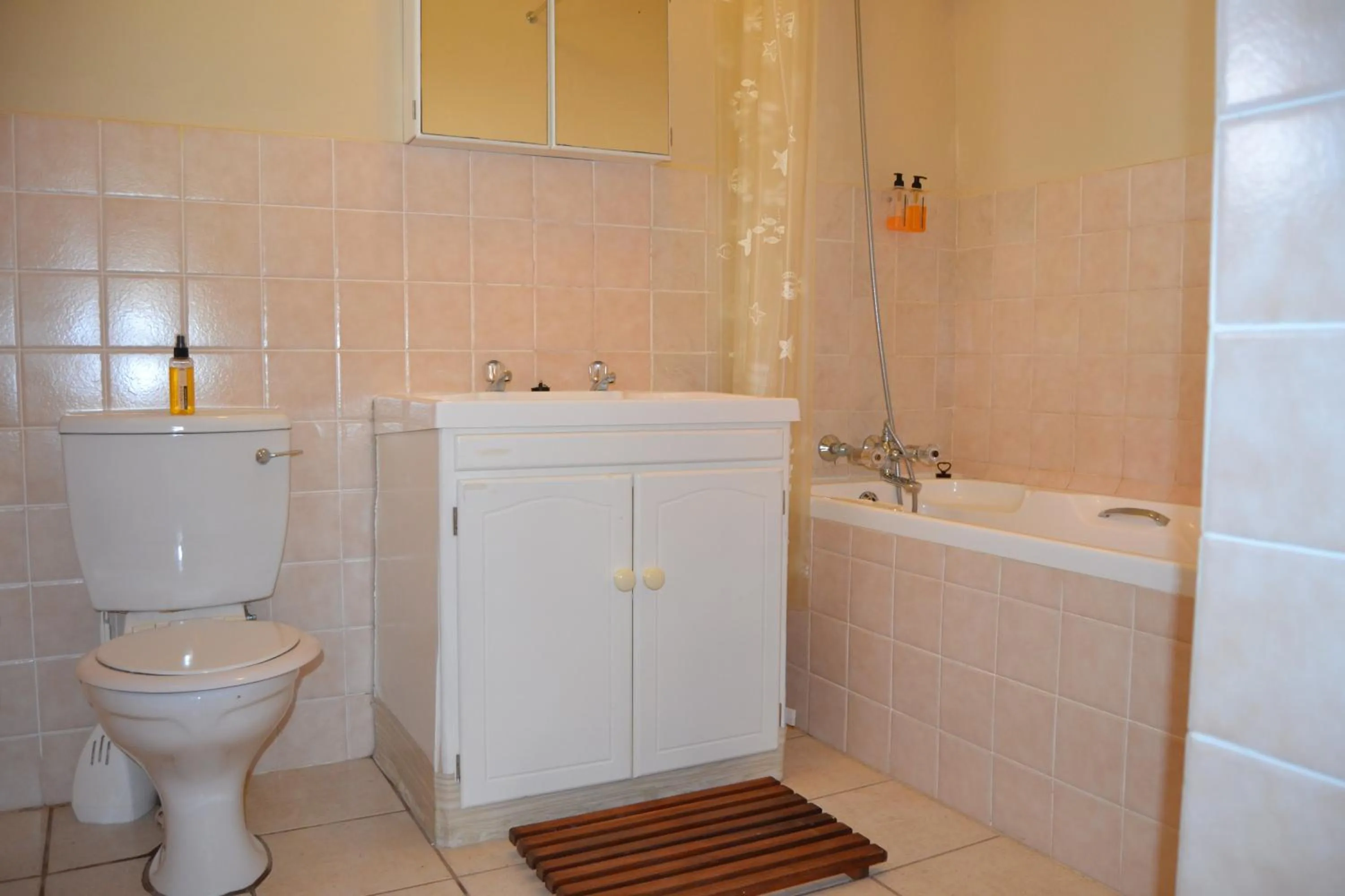 Bathroom in Over The Mountain Guest Farm