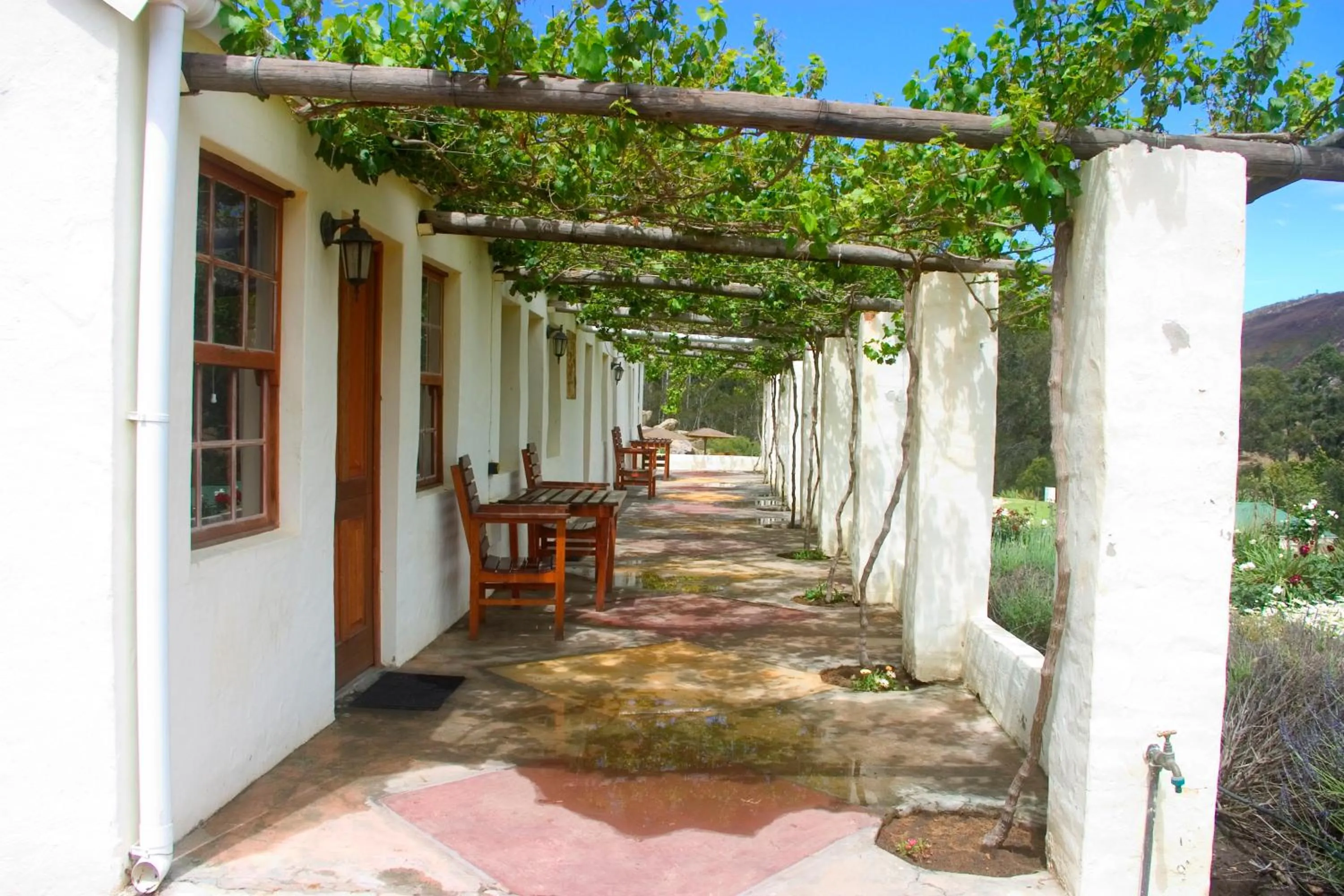 View (from property/room) in Over The Mountain Guest Farm