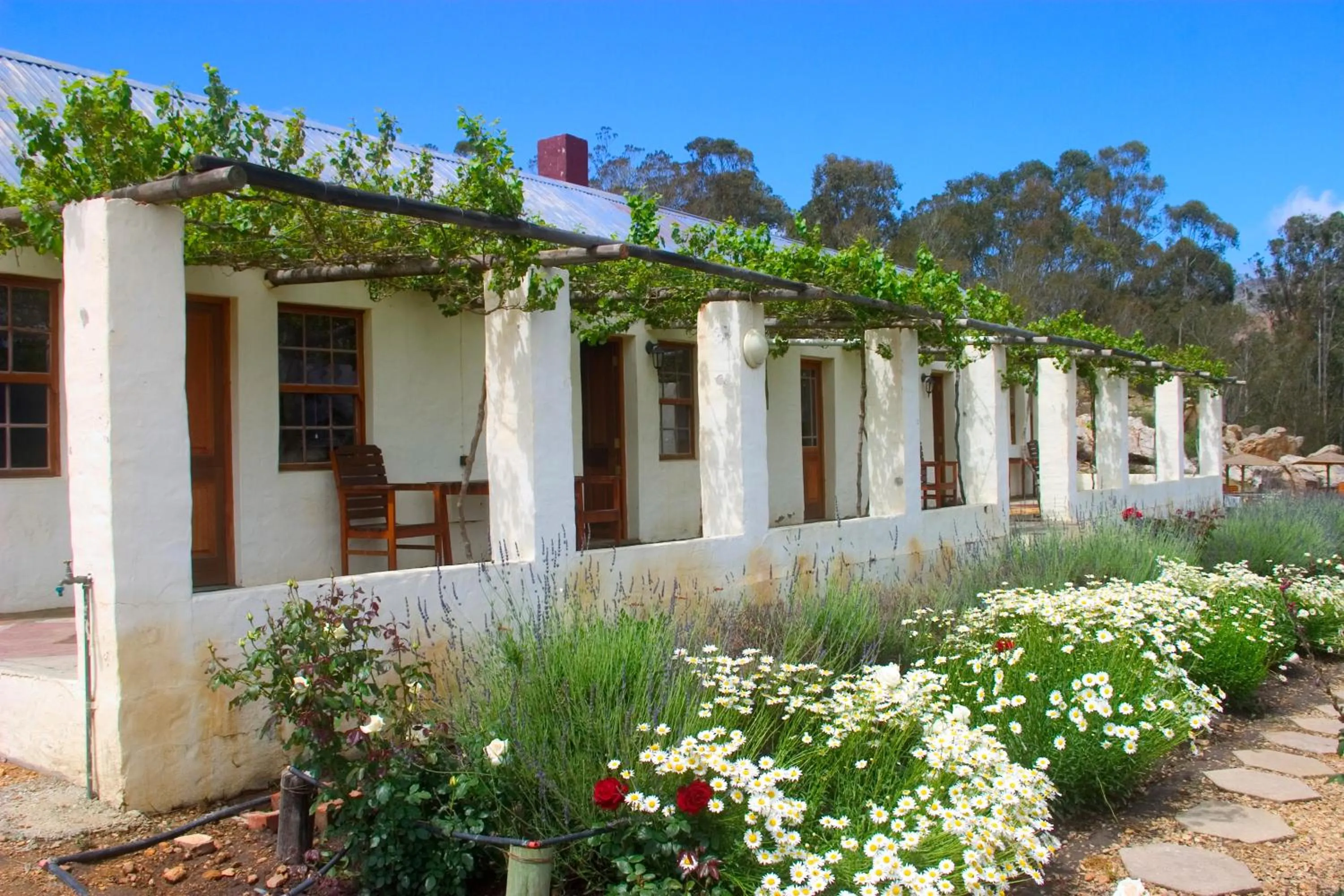 Property building in Over The Mountain Guest Farm
