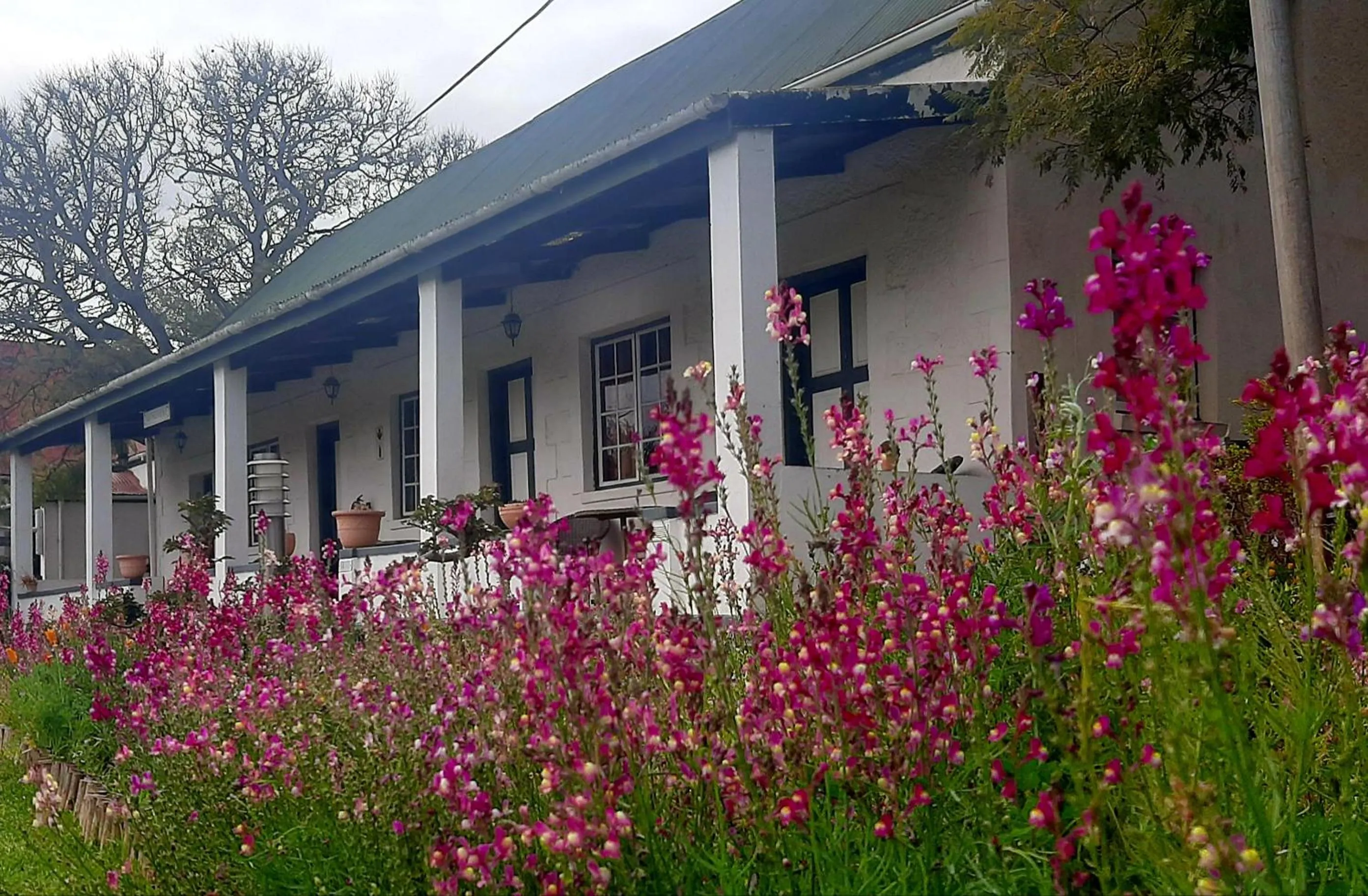 Property building in Over The Mountain Guest Farm