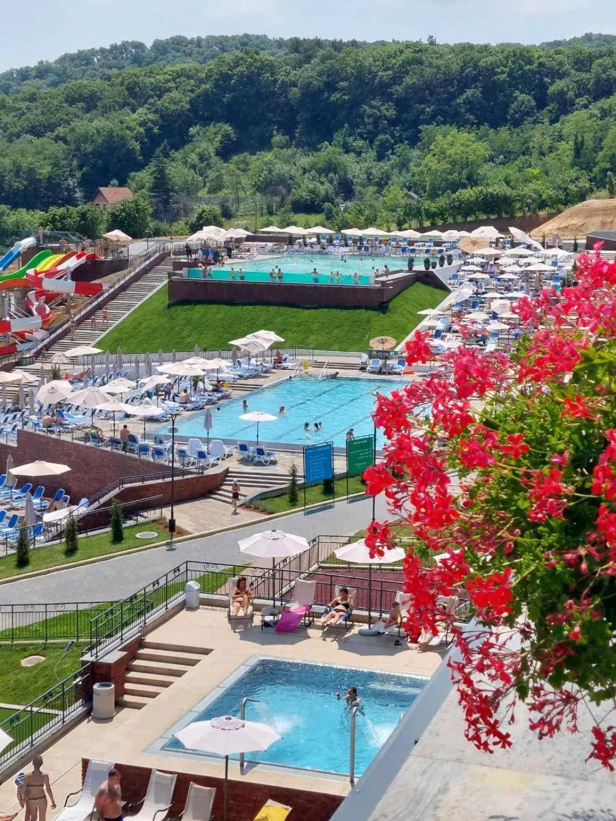 Swimming pool in Movenpick Resort and Spa Fruske Terme