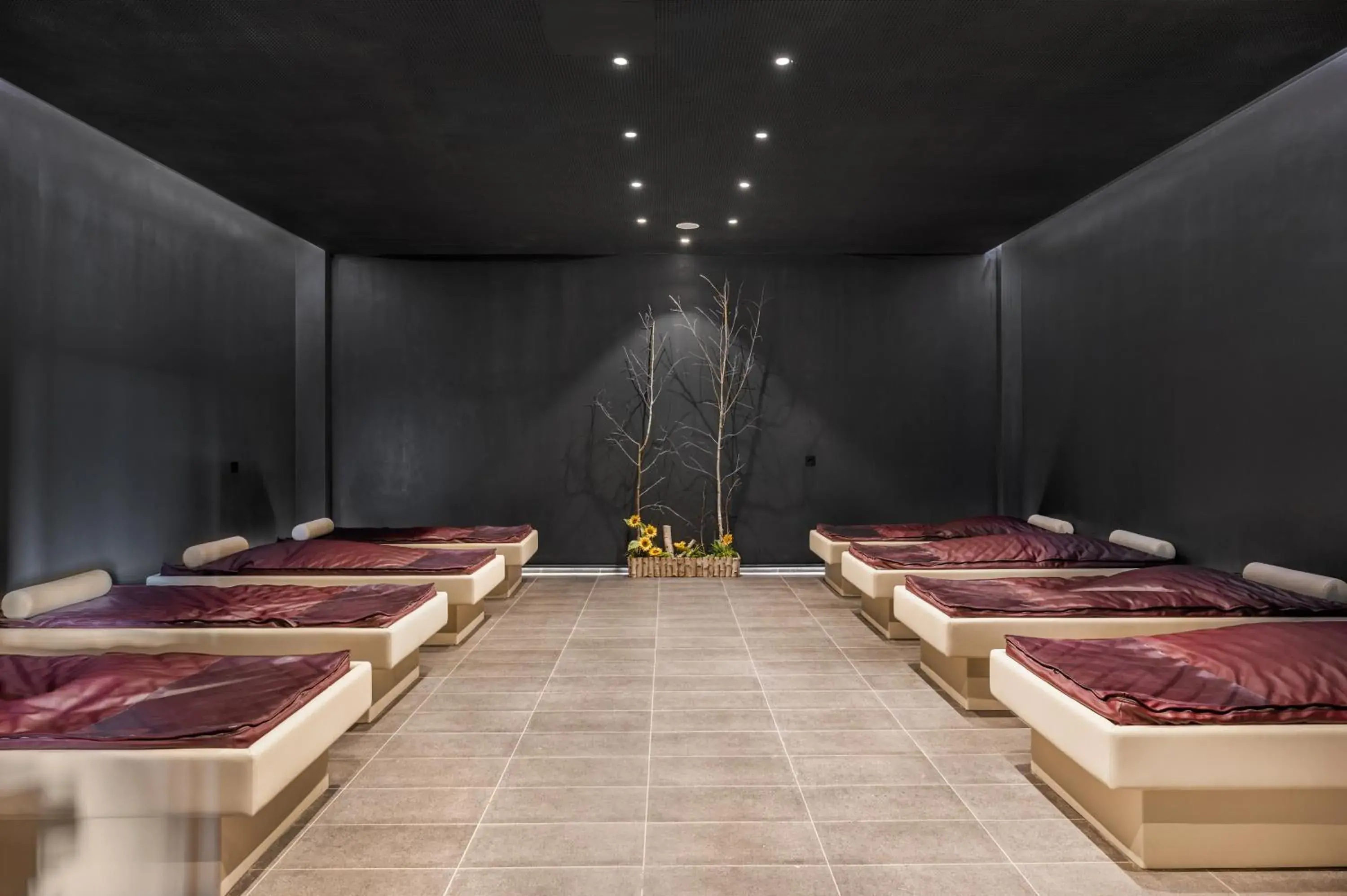 Spa and wellness centre/facilities in Movenpick Resort and Spa Fruske Terme Spa and wellness centre/facilities in Movenpick Resort and Spa Fruske Terme