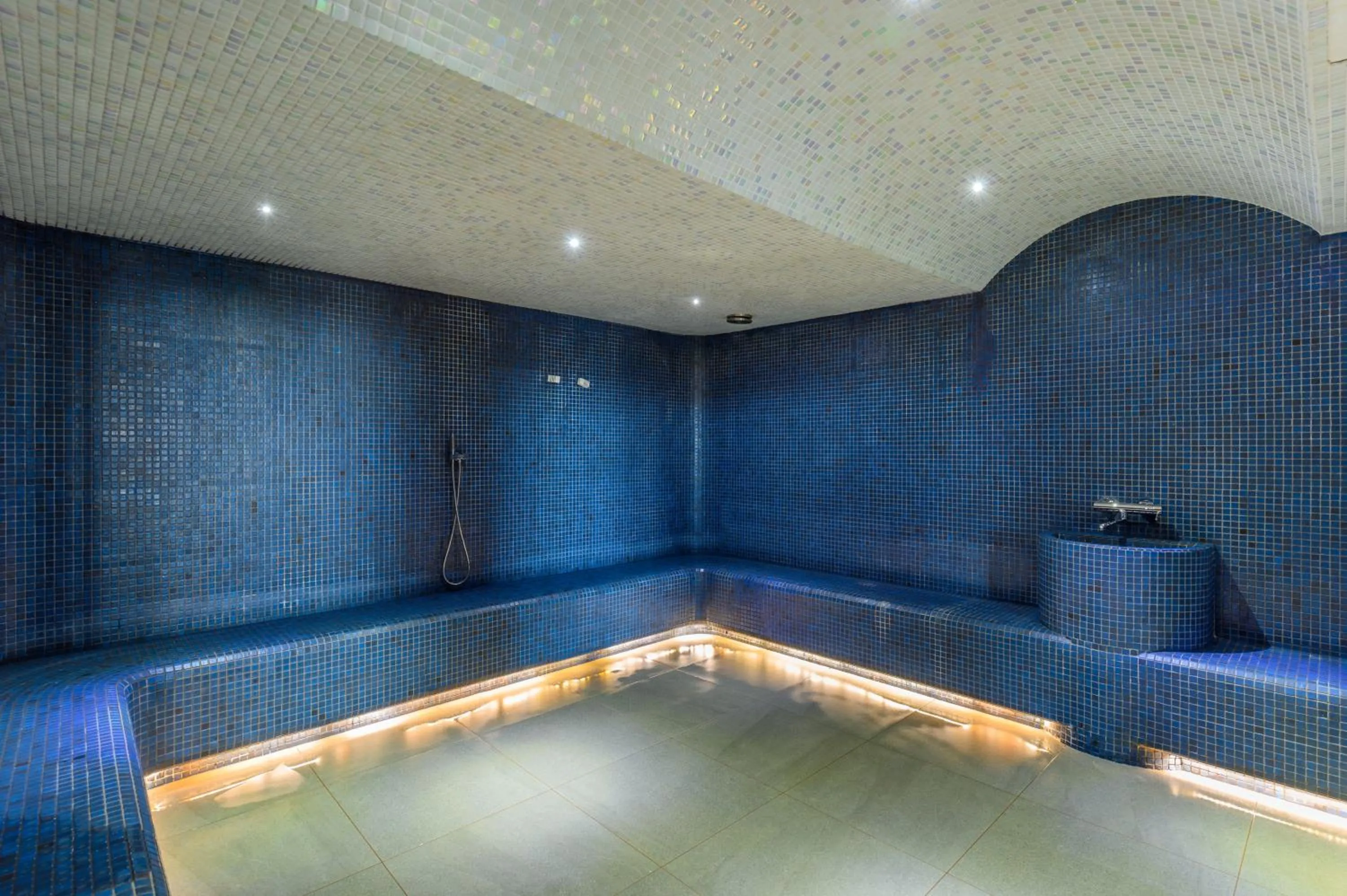 Public Bath in Movenpick Resort and Spa Fruske Terme