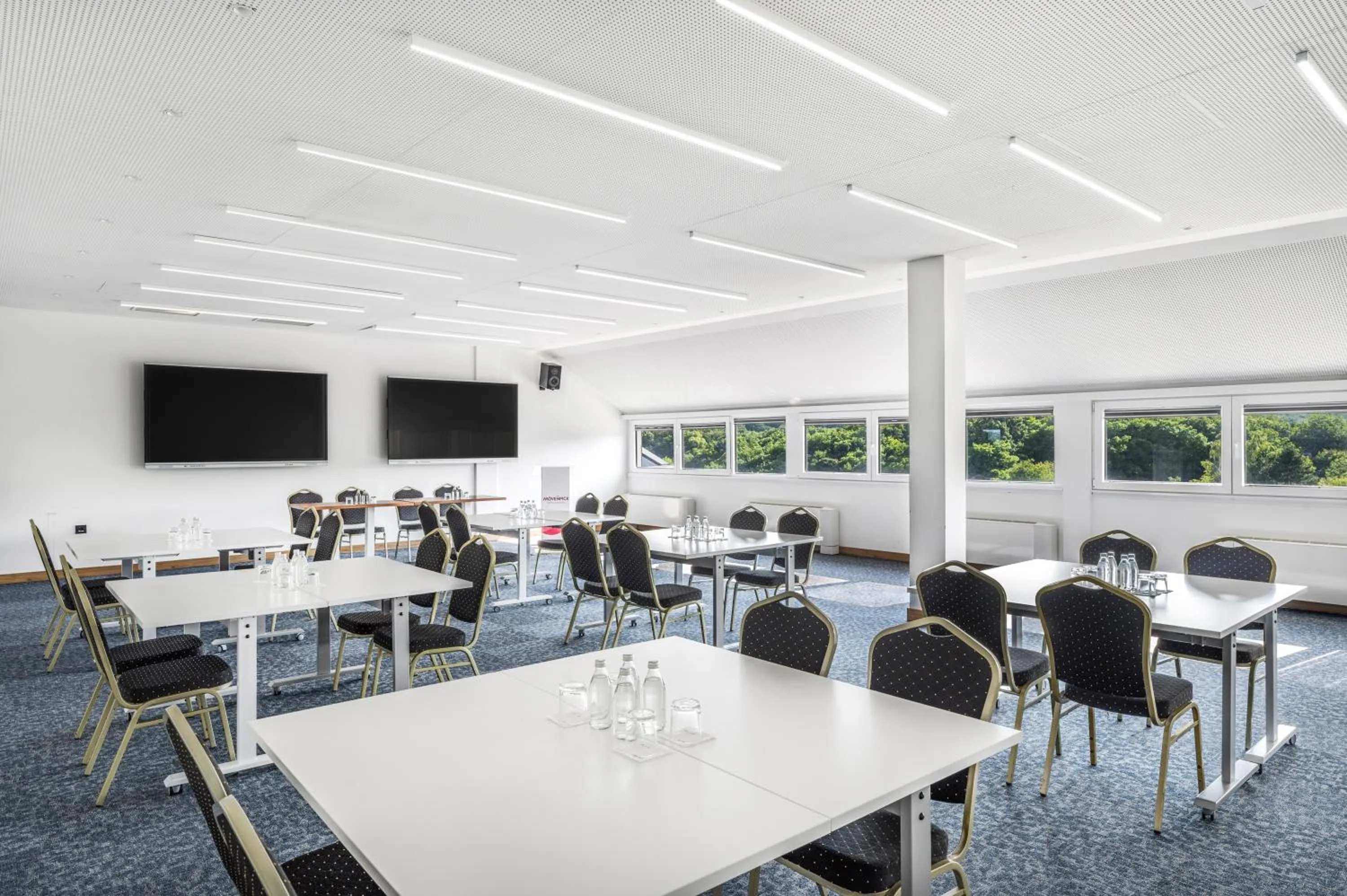 Meeting/conference room in Movenpick Resort and Spa Fruske Terme