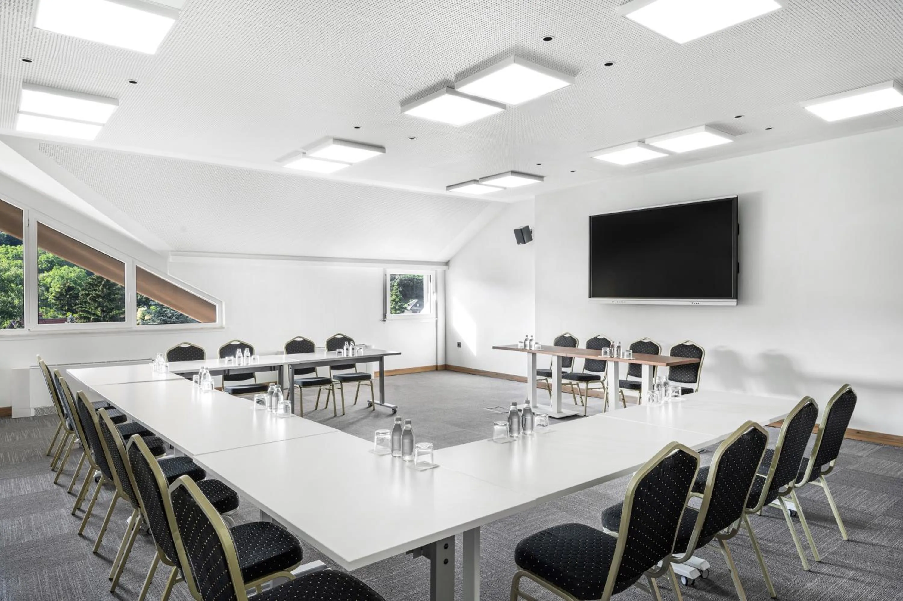 Meeting/conference room in Movenpick Resort and Spa Fruske Terme