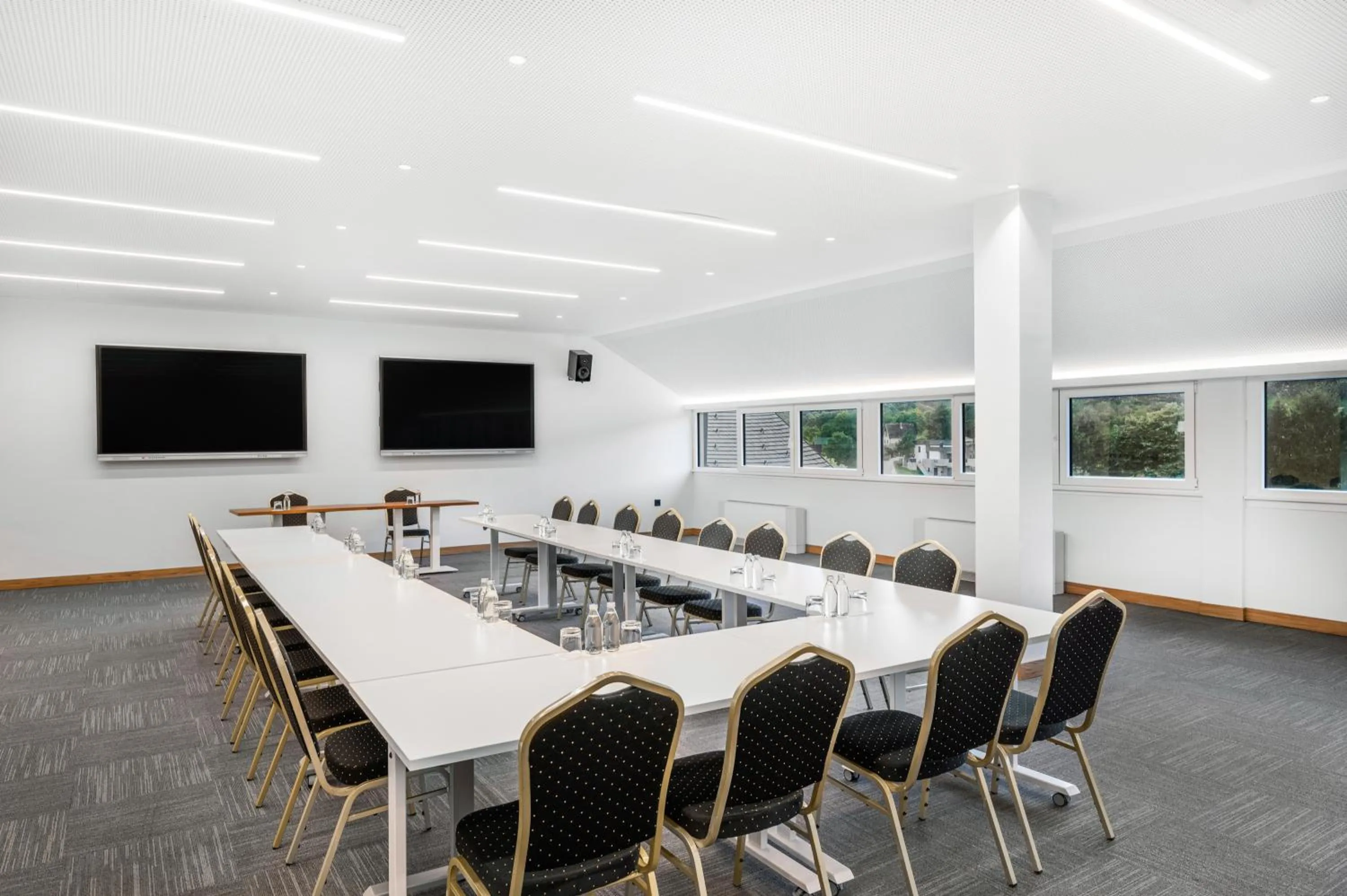 Meeting/conference room in Movenpick Resort and Spa Fruske Terme