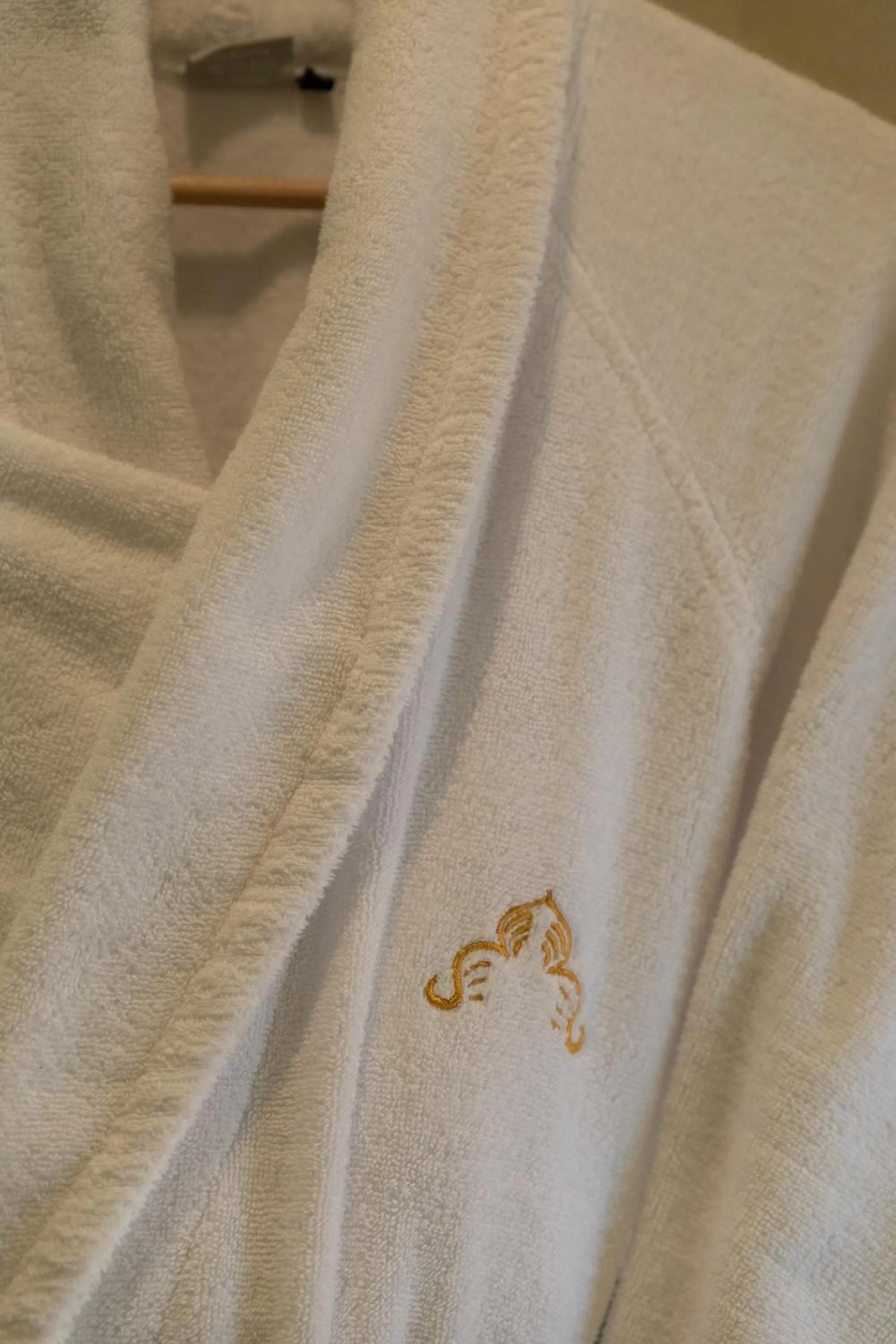 Text overlay in Riad Al Ansari