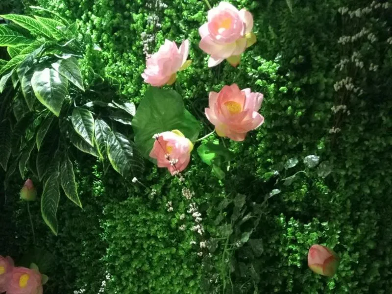 Vatica Xuzhou Suining Bus Station Bayi West Road Hotel