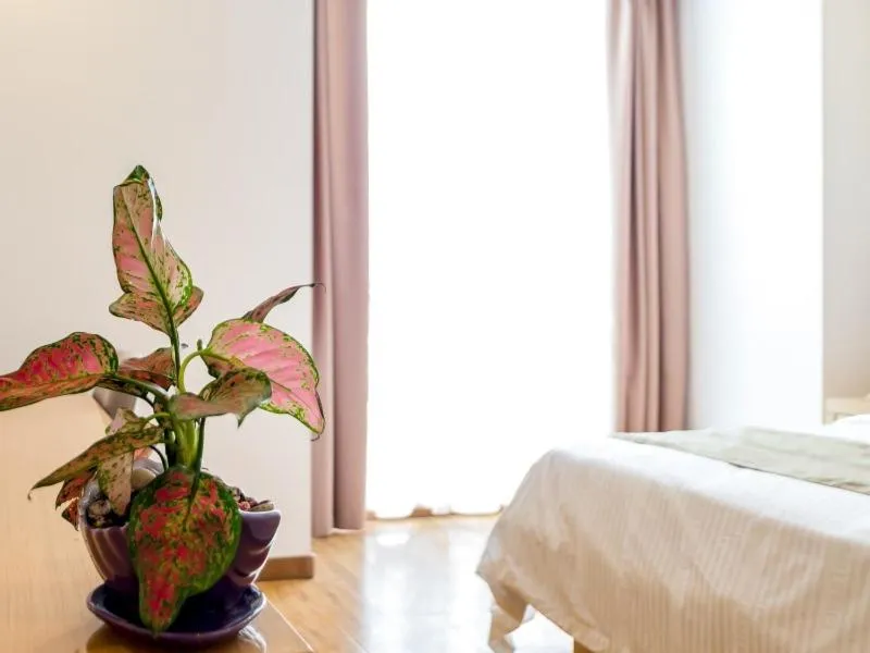 Bed in GreenTree InnChangZhou Wujin District Huangli Town Taoyuan Road Express Hotel