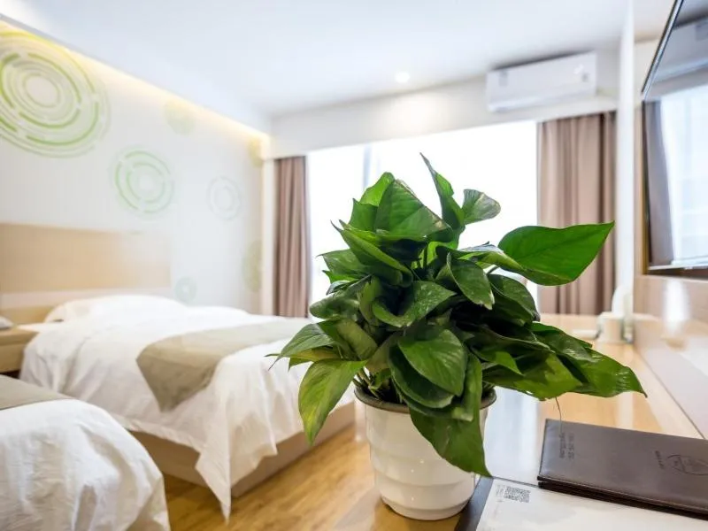 Bed in GreenTree InnChangZhou Wujin District Huangli Town Taoyuan Road Express Hotel