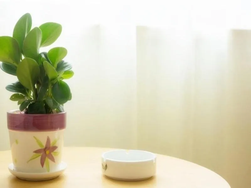 GreenTree Inn Nantong Qidong Binhai Industrial Park Nanhai RoadExpress Hotel