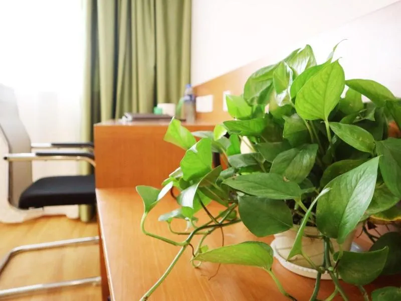 Vatica Hefei Jingshang International Trade City Hotel