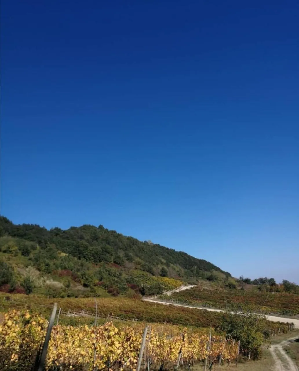 Natural landscape in Ca' del Passero b&b