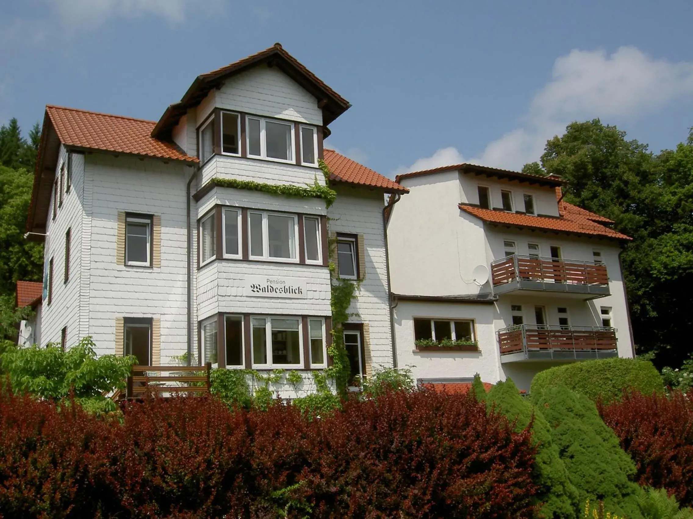 Pension Waldesblick Pension Waldesblick