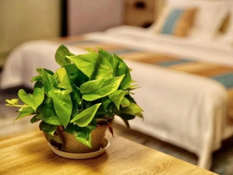 Bed in VX Changzhou Jintan District Red Star Macalline Hotel