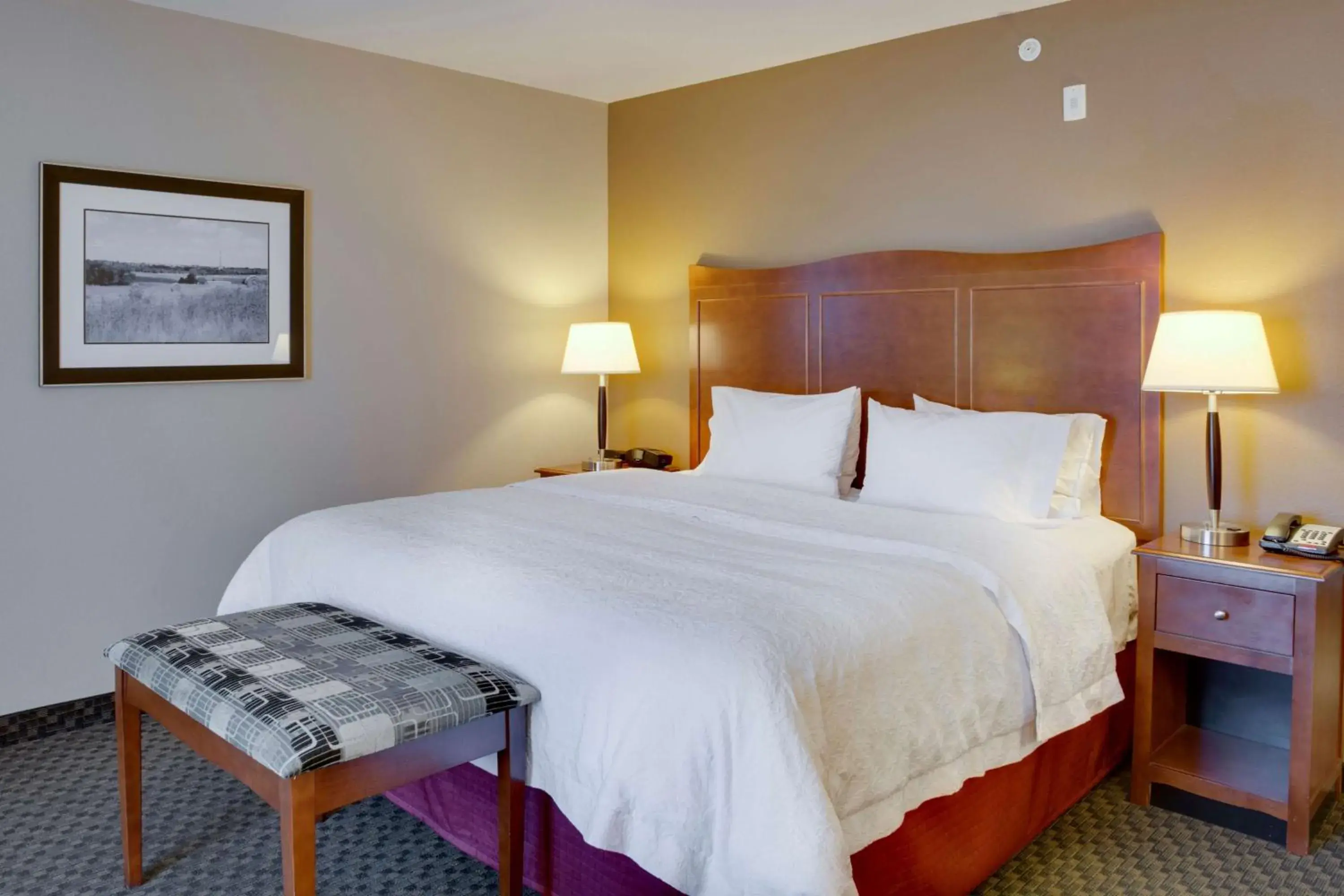 Bed in Hampton Inn Chickasha Bed in Hampton Inn Chickasha