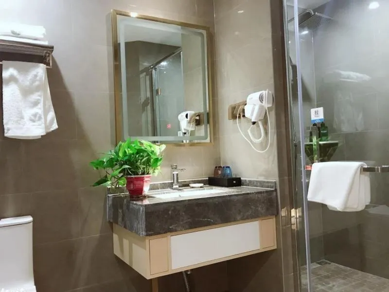 VX Hefei Lianhua Road Hotel