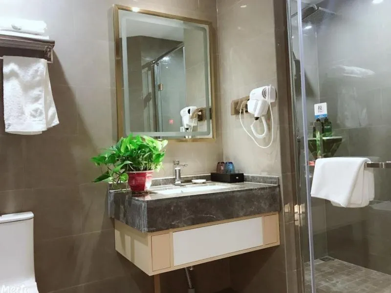 VX Hefei Lianhua Road Hotel