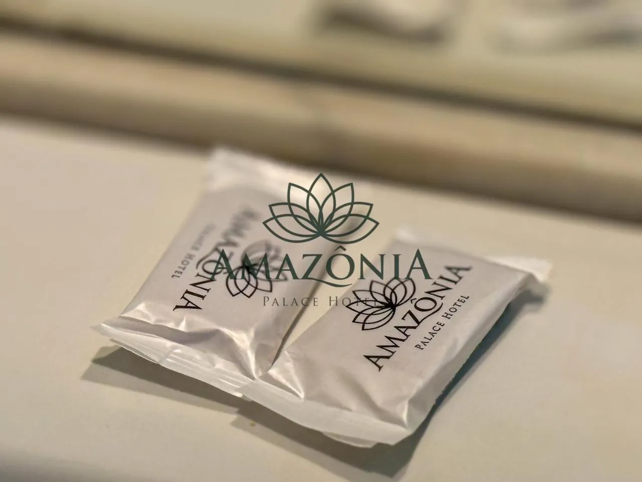 Bathroom in Amazônia Palace Hotel