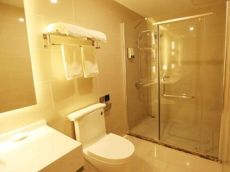 GreenTree Inn Tianjin Hedong District Tianjin Station Front Square Express Hotel