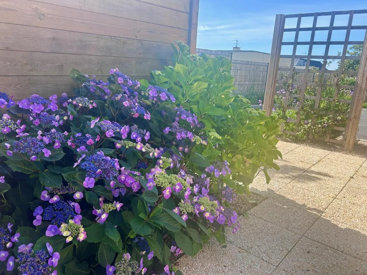 Spring in BRIT HOTEL Lannion-Perros Guirec