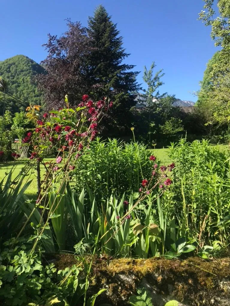 Garden in Maison d'hoursentut