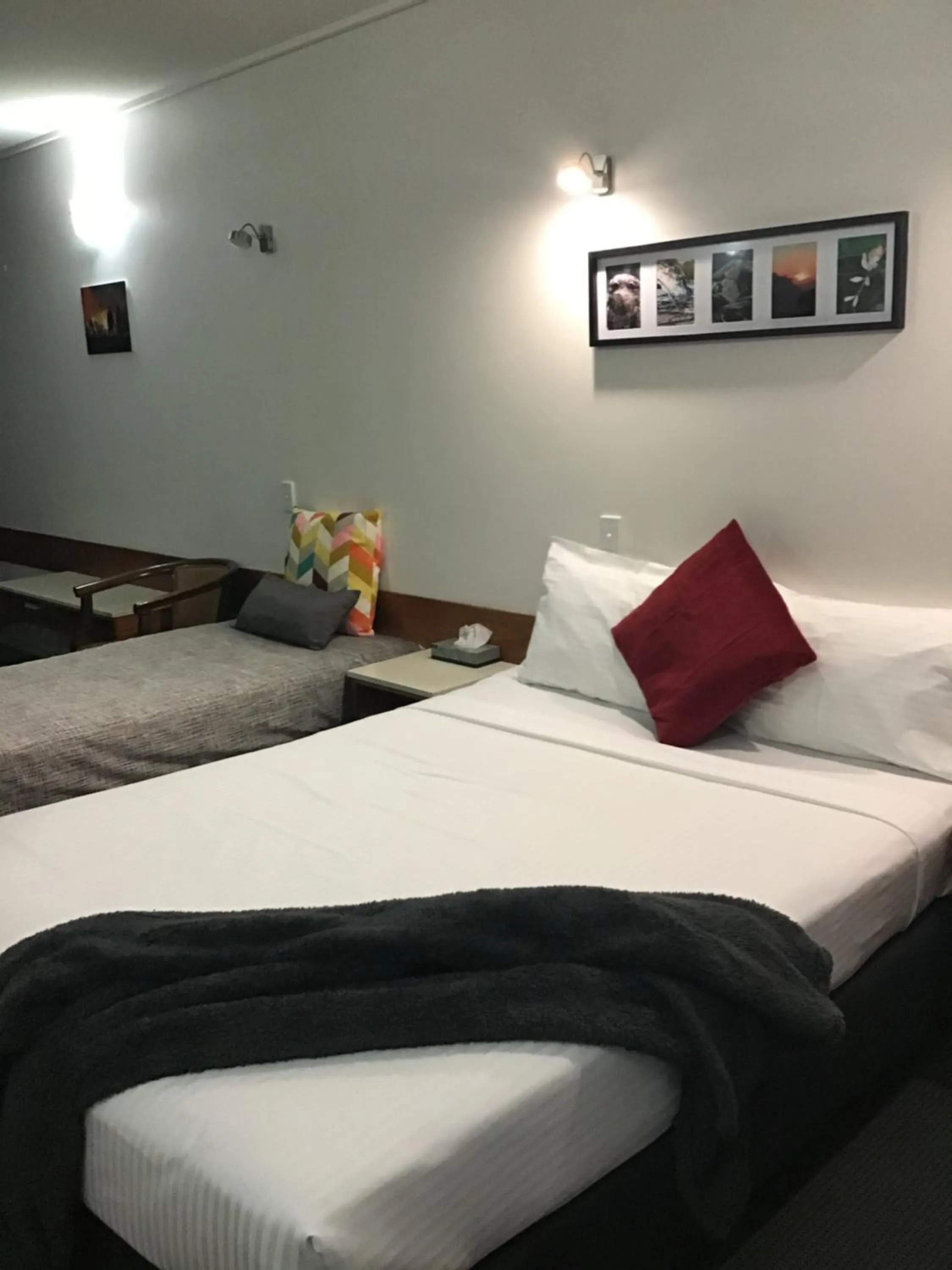 Bed in Ayr Traveller's Motel