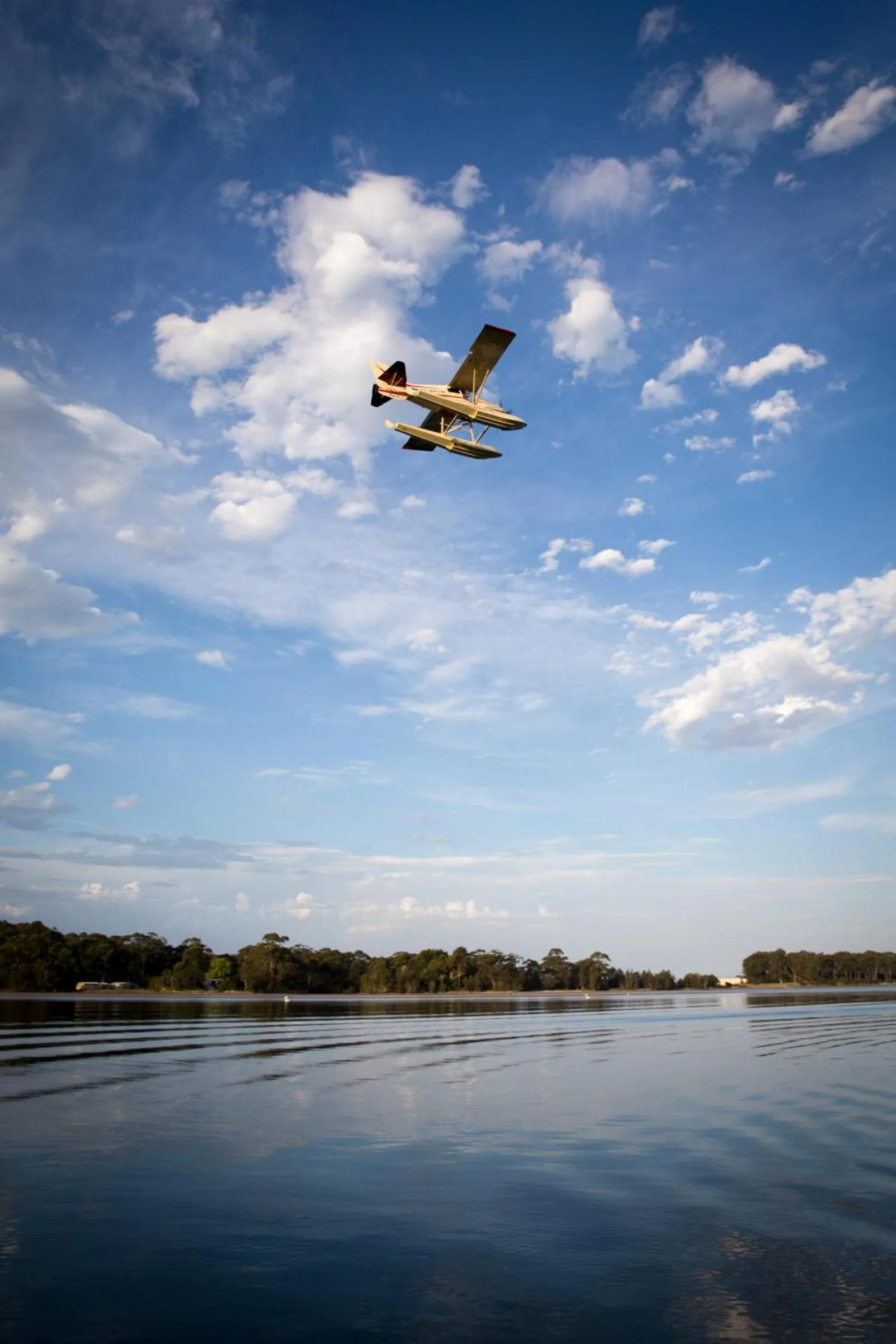 Activities in The Seabird