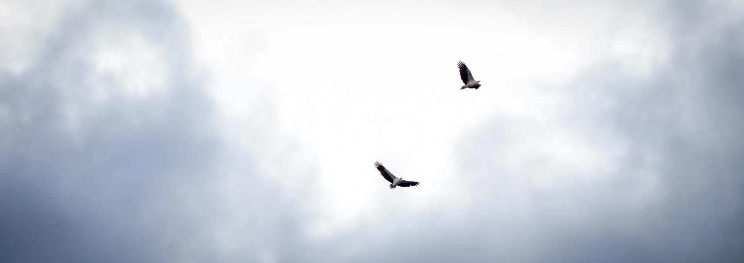 Area and facilities in The Seabird