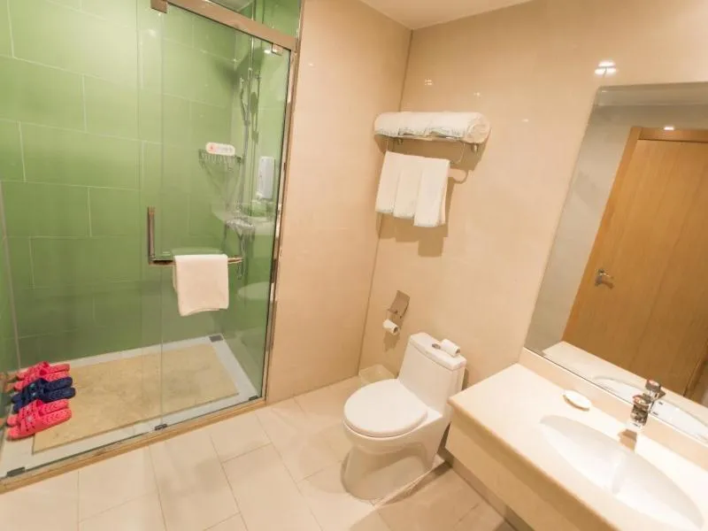 GreenTree InnZhangjiakou High-speed Railway Station Business Hotel