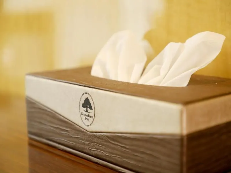 GreenTree Inn Zhumadian high-speed rail station square store