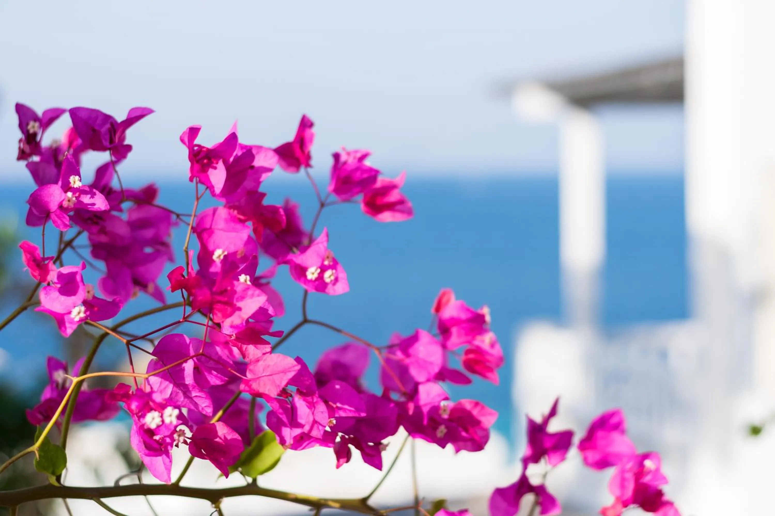 Sea view in With-inn Mykonos Suites