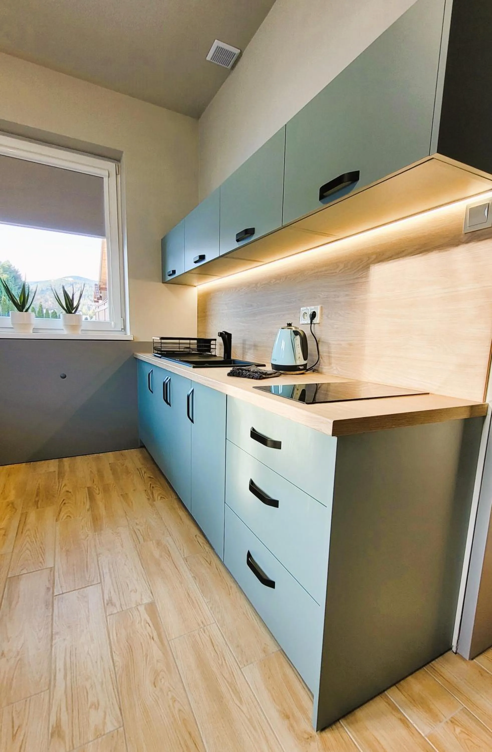 Kitchen or kitchenette in Villa Rosa