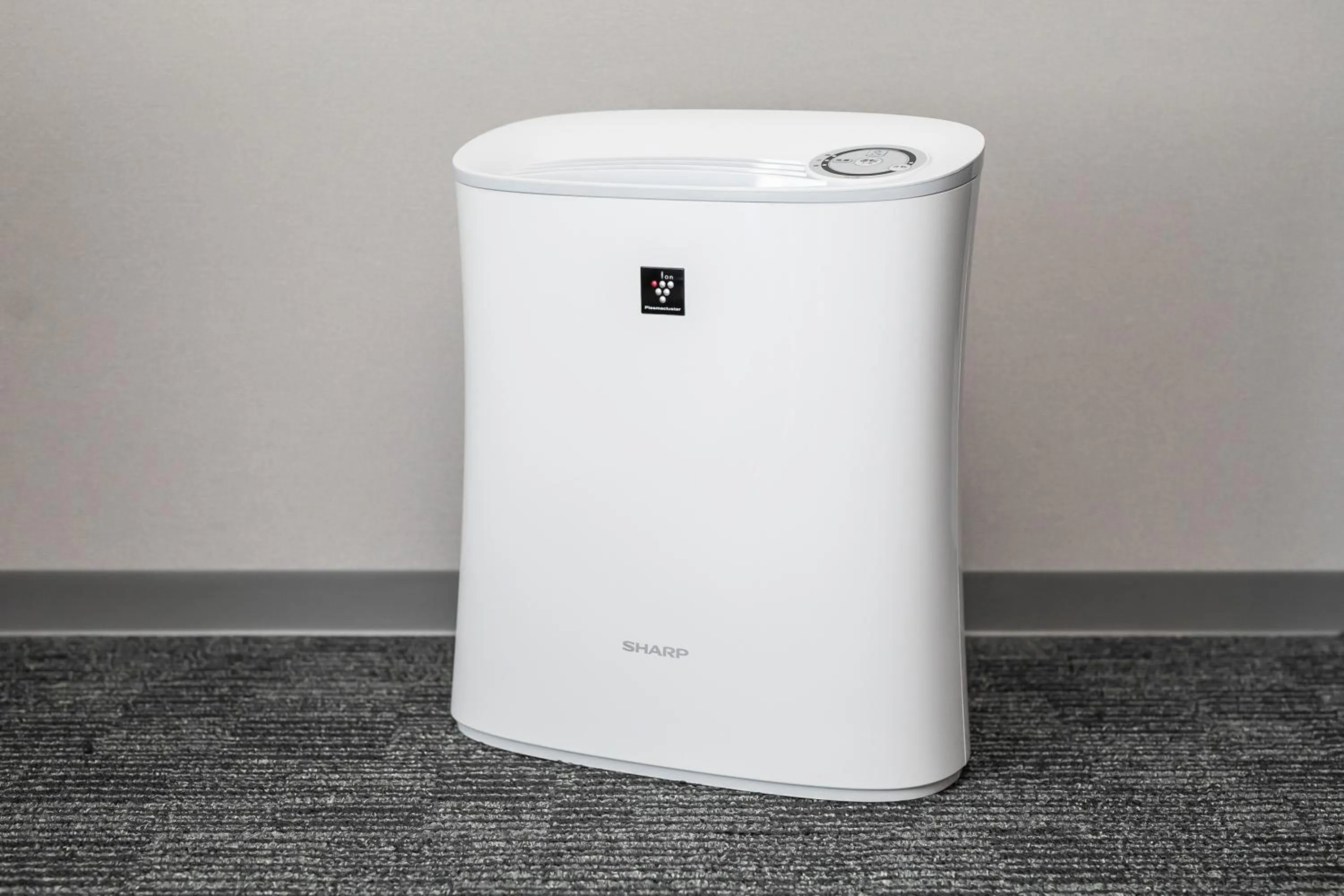 Photo of the whole room in Akari Nijo-jo