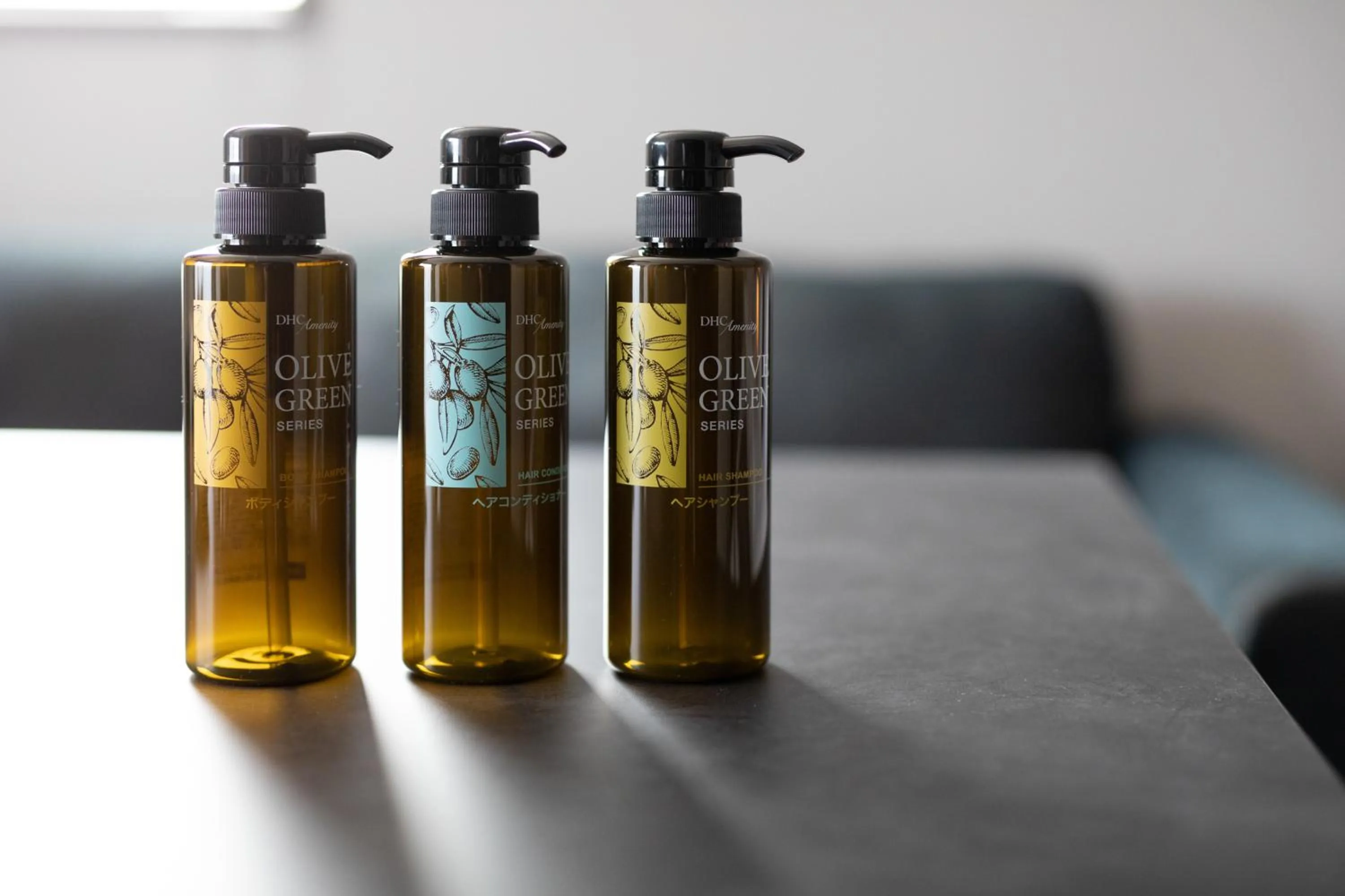 Shower in Akari Nijo-jo