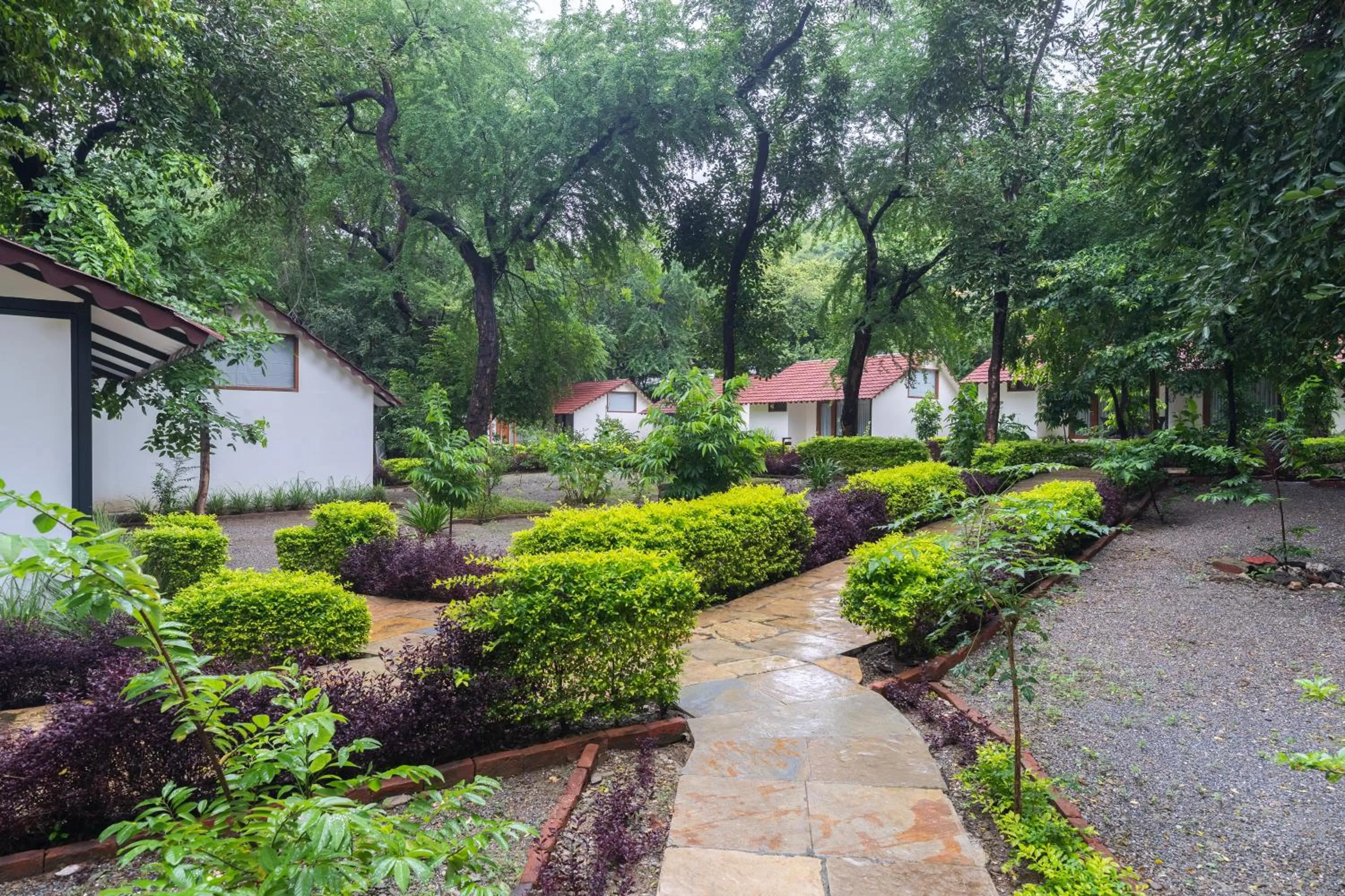 Natural landscape in Aranya Vilas - A Nature Resort