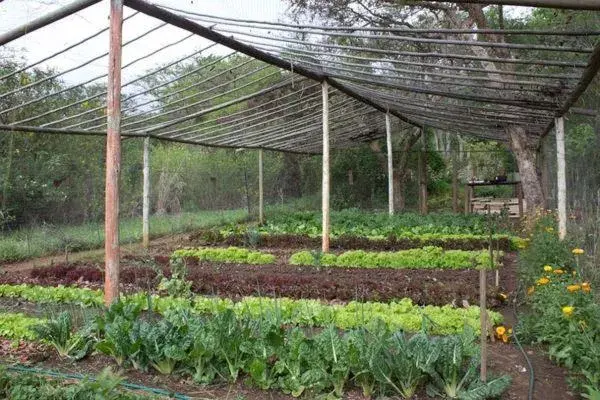 Property building in Old Joe's Kaia Property building in Old Joe's Kaia