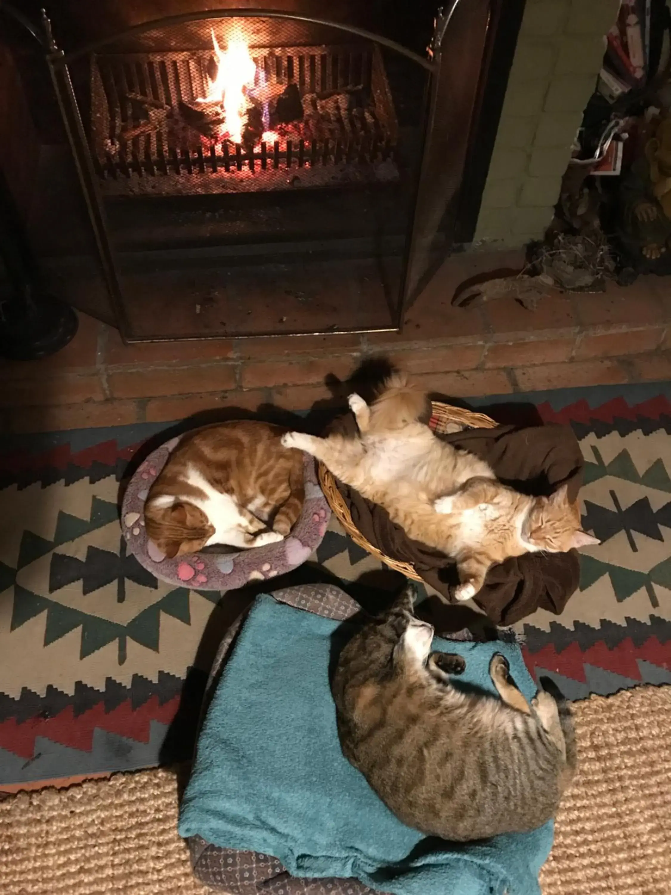 Lounge or bar in Old Joe's Kaia Lounge or bar in Old Joe's Kaia