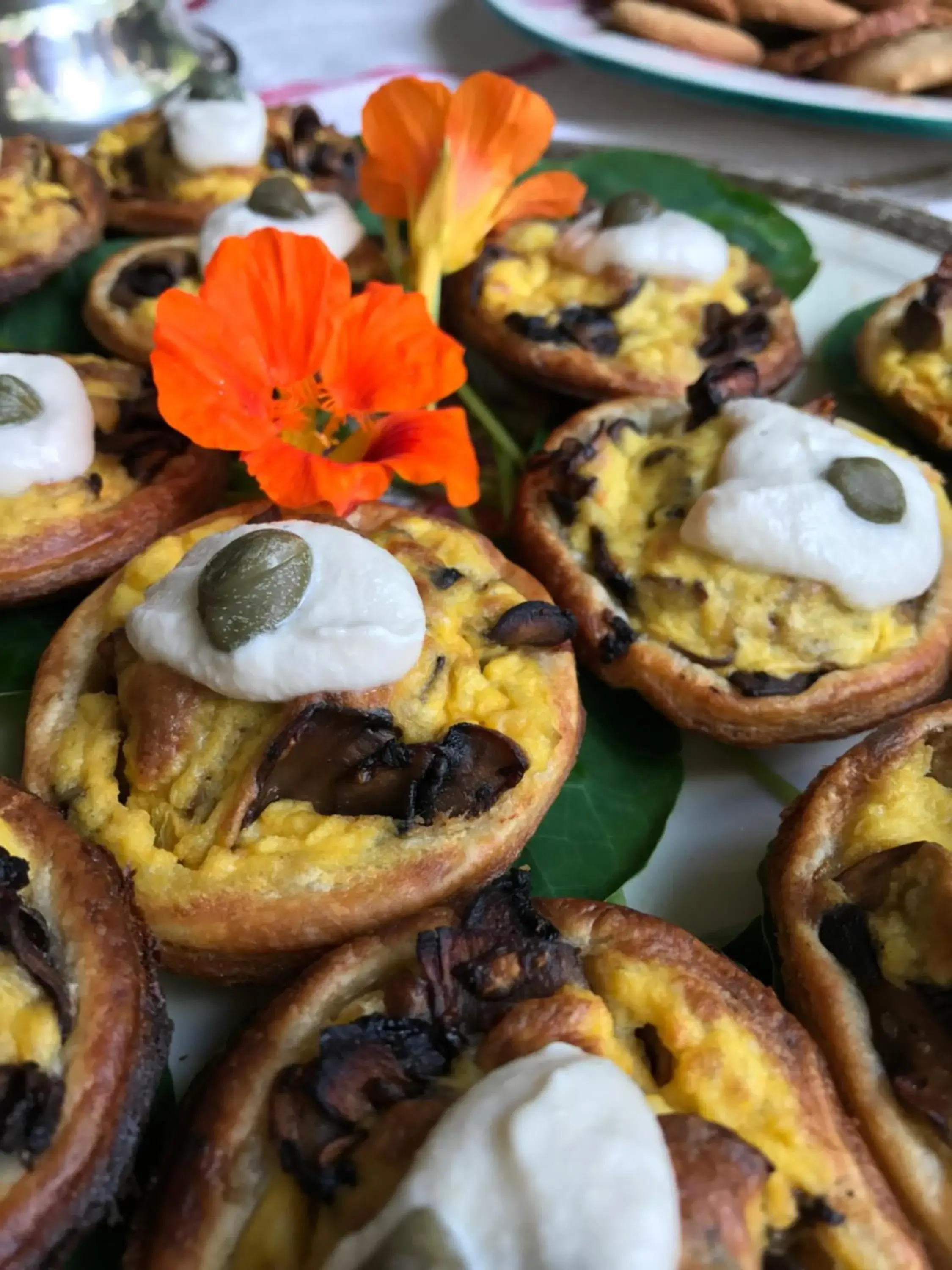 Restaurant/places to eat in Old Joe's Kaia Restaurant/places to eat in Old Joe's Kaia