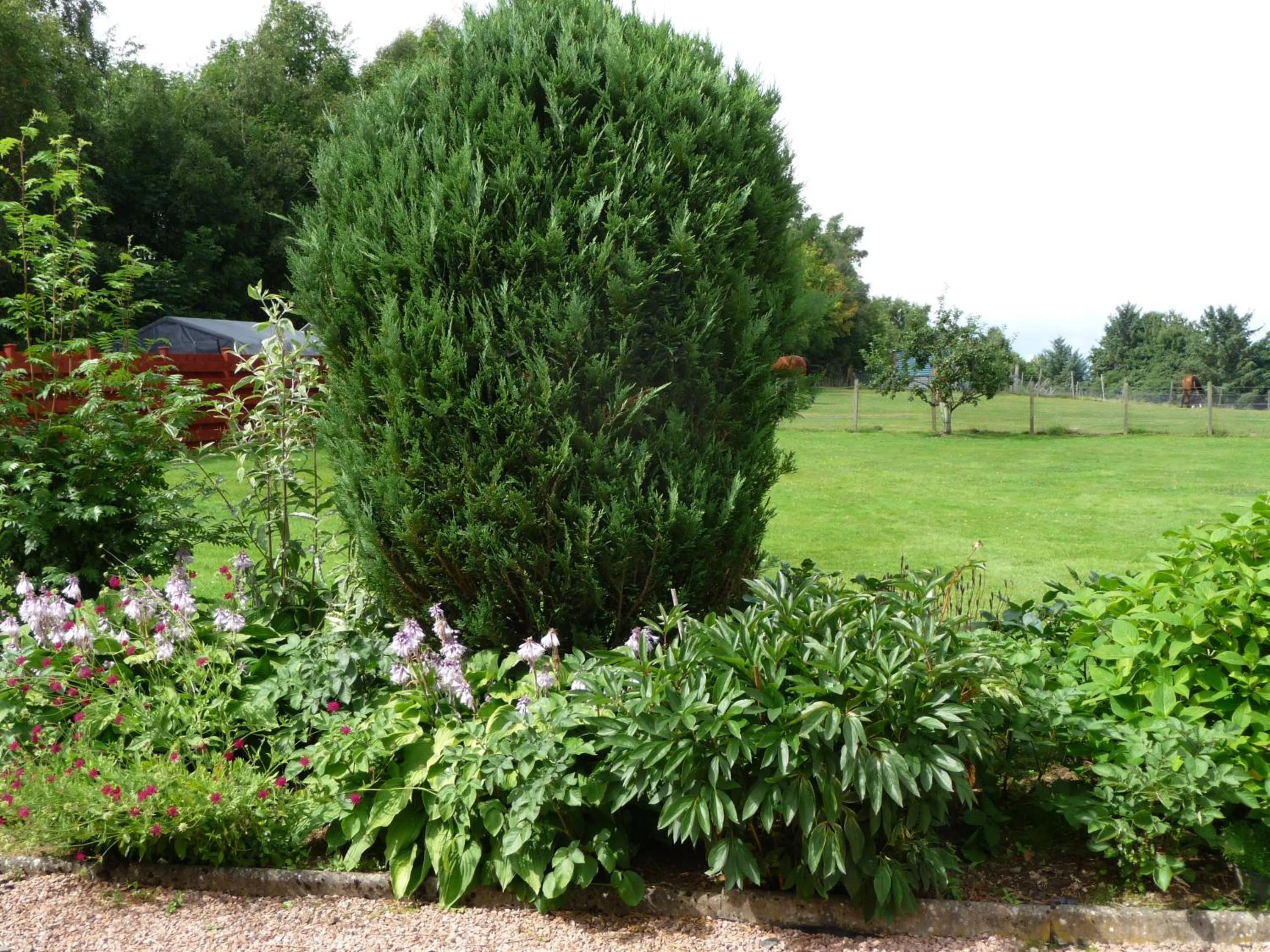 Ordieview Bed & Breakfast