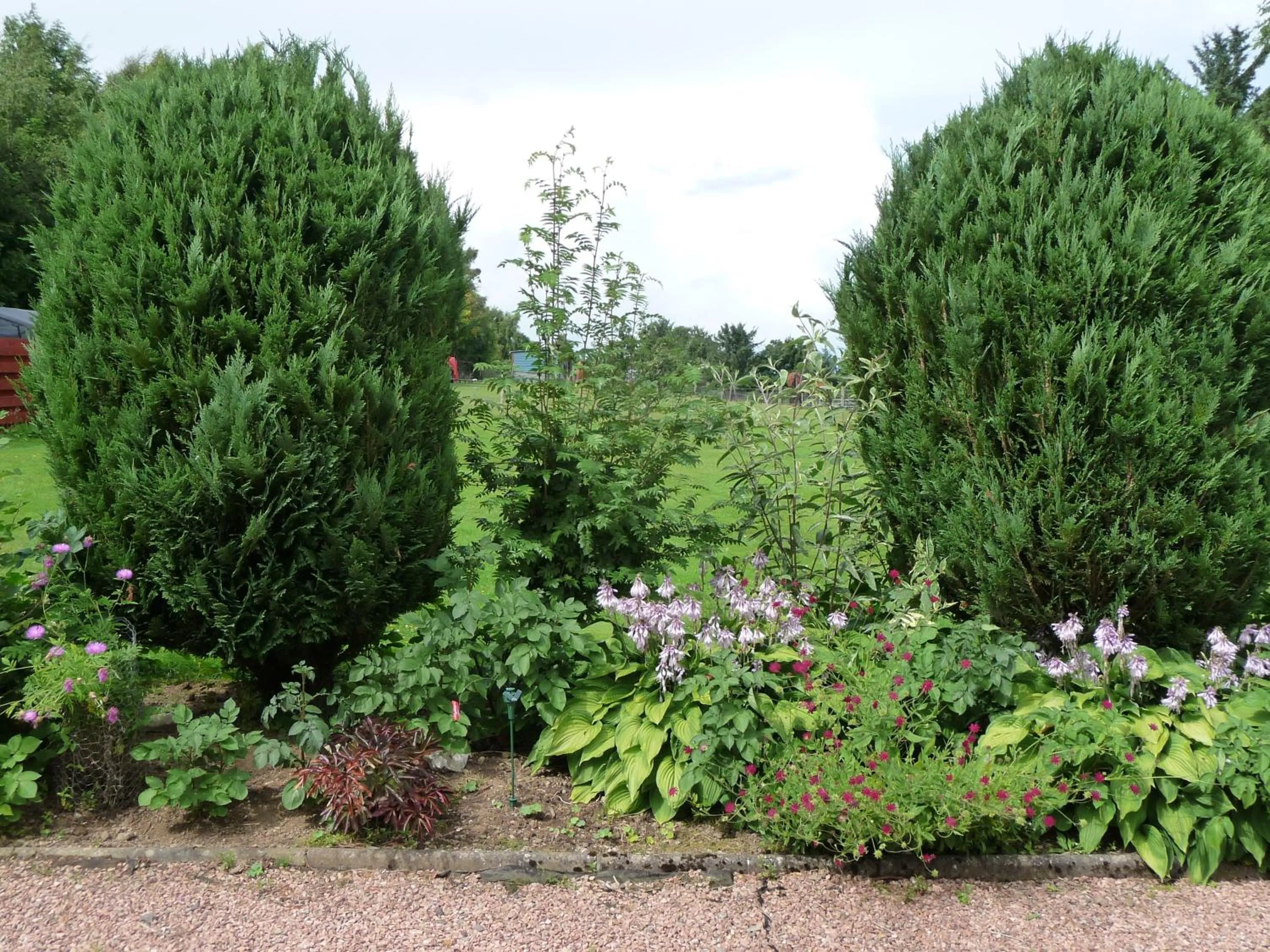 Ordieview Bed & Breakfast