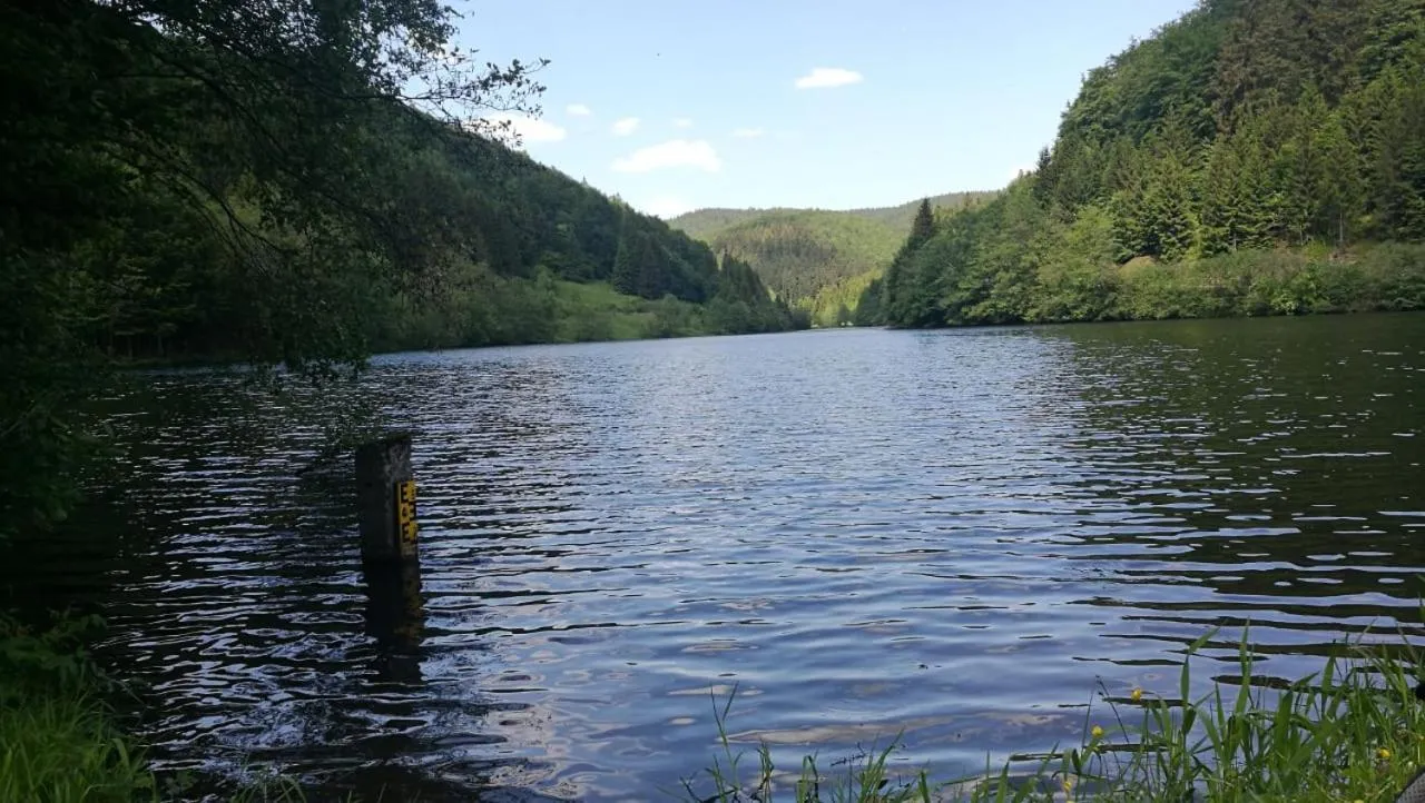 Natural landscape in Haus Linde Frauenwald am Rennsteig