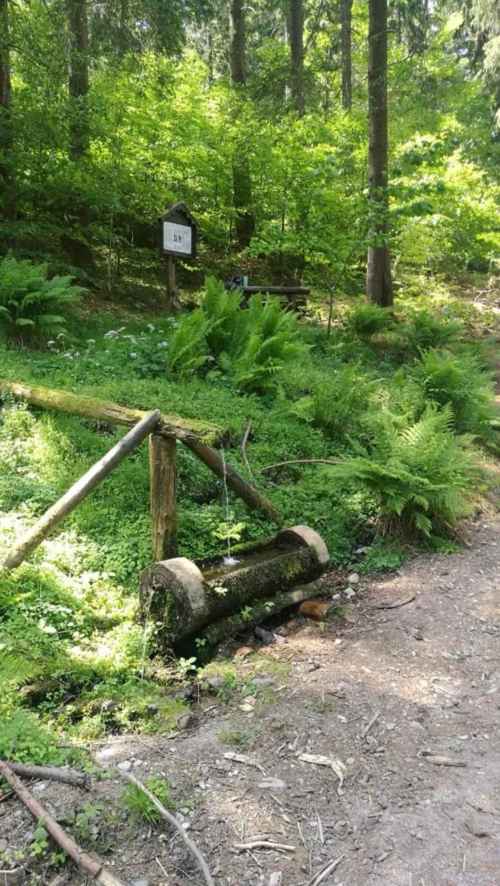Natural landscape in Haus Linde Frauenwald am Rennsteig