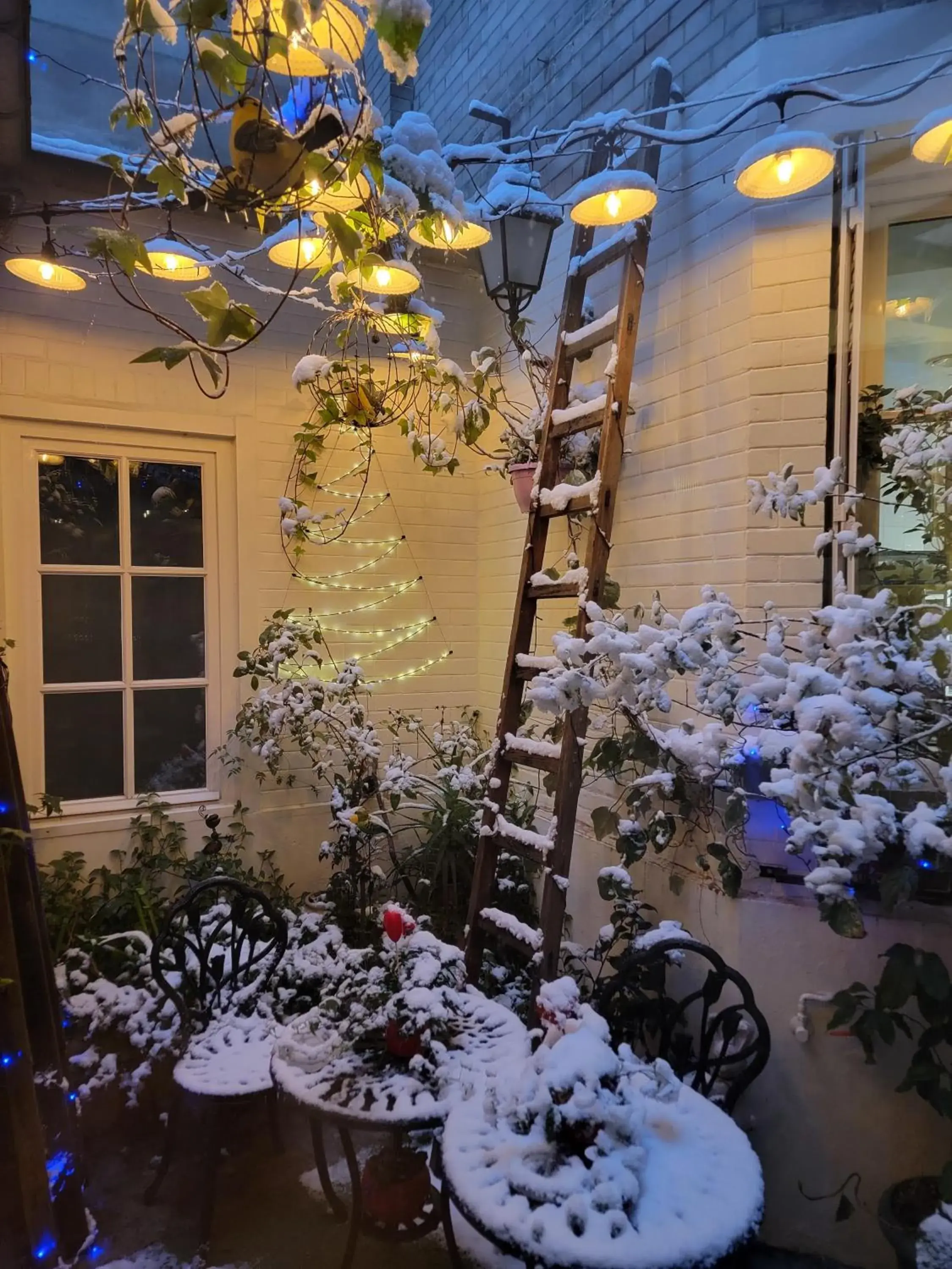 Restaurant/places to eat in Virgina Restaurant/places to eat in Virgina