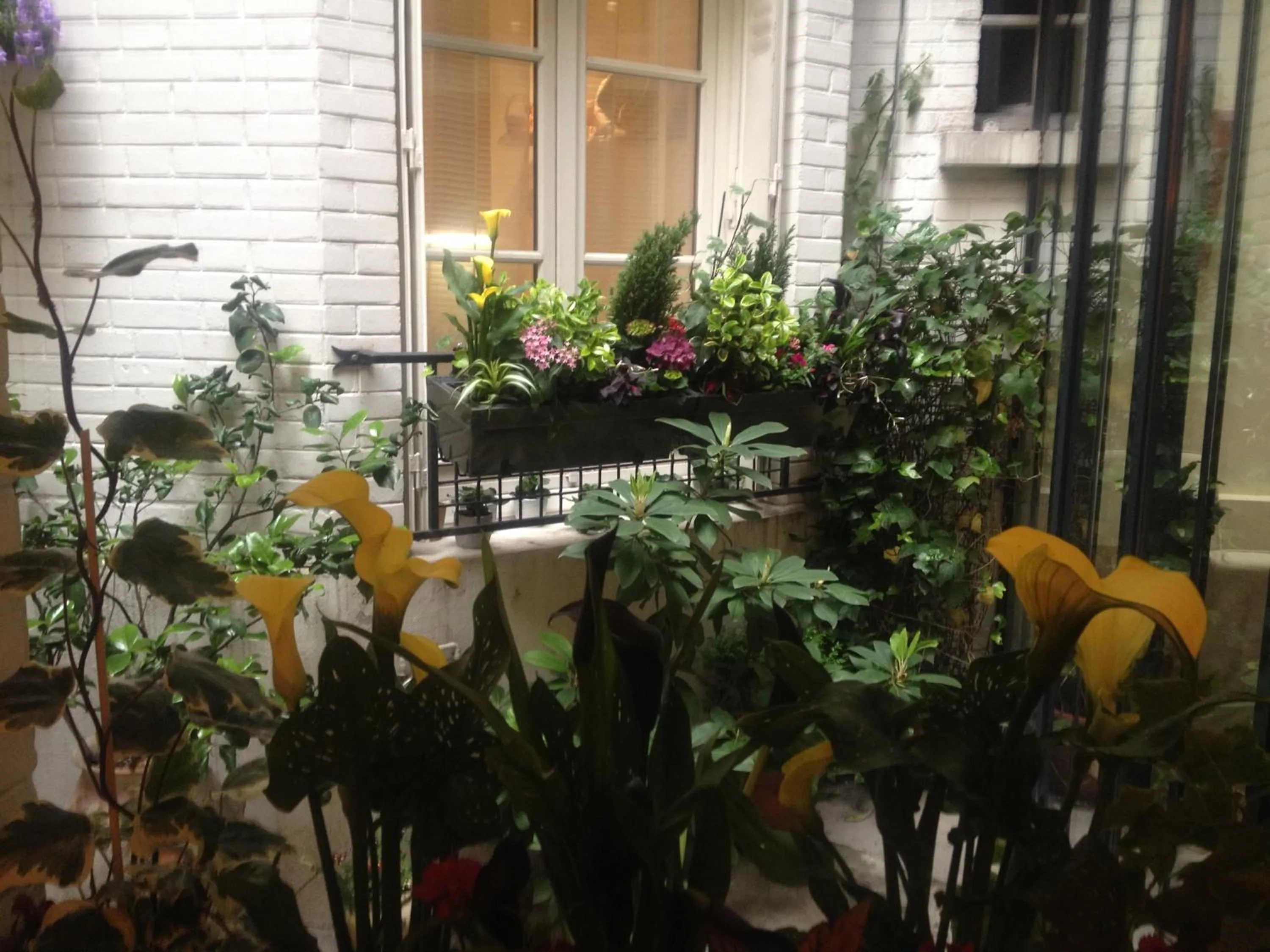 Balcony/Terrace in Virgina