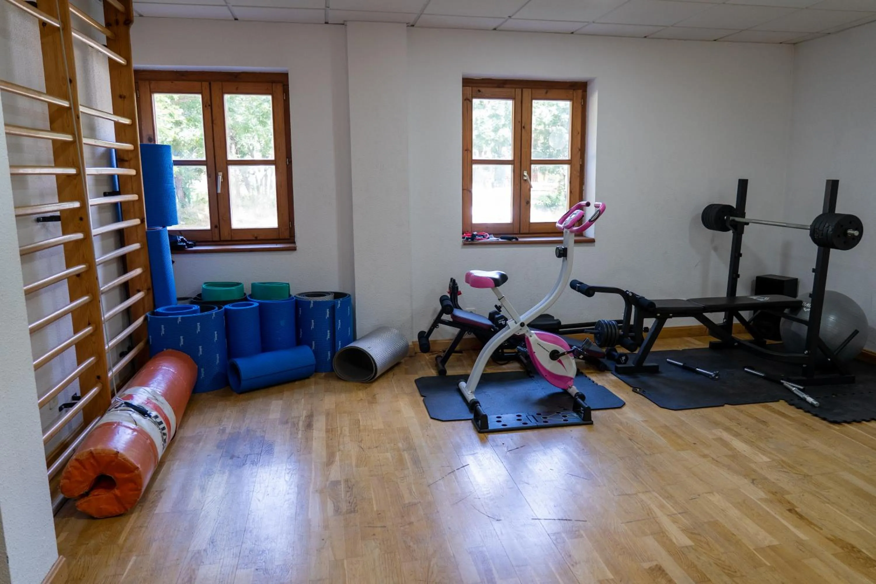 Fitness centre/facilities in SNÖ Vall de Boí