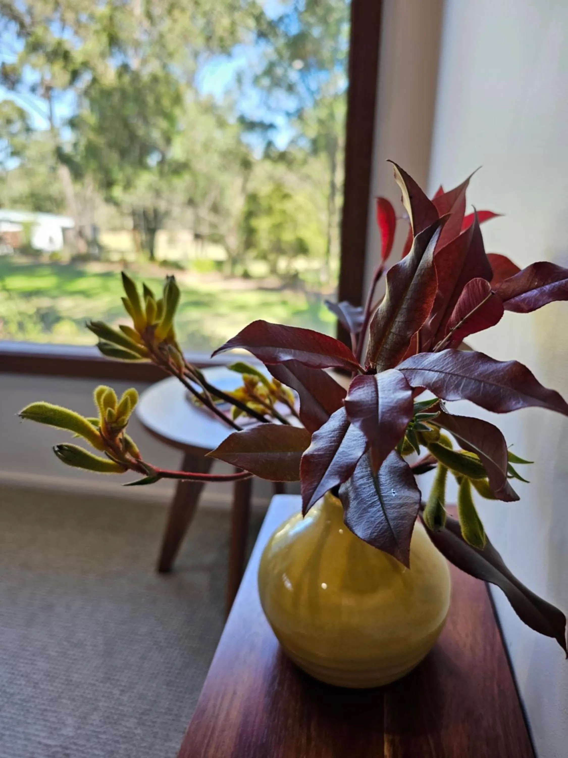 Tuckers Lane Boutique Accommodation