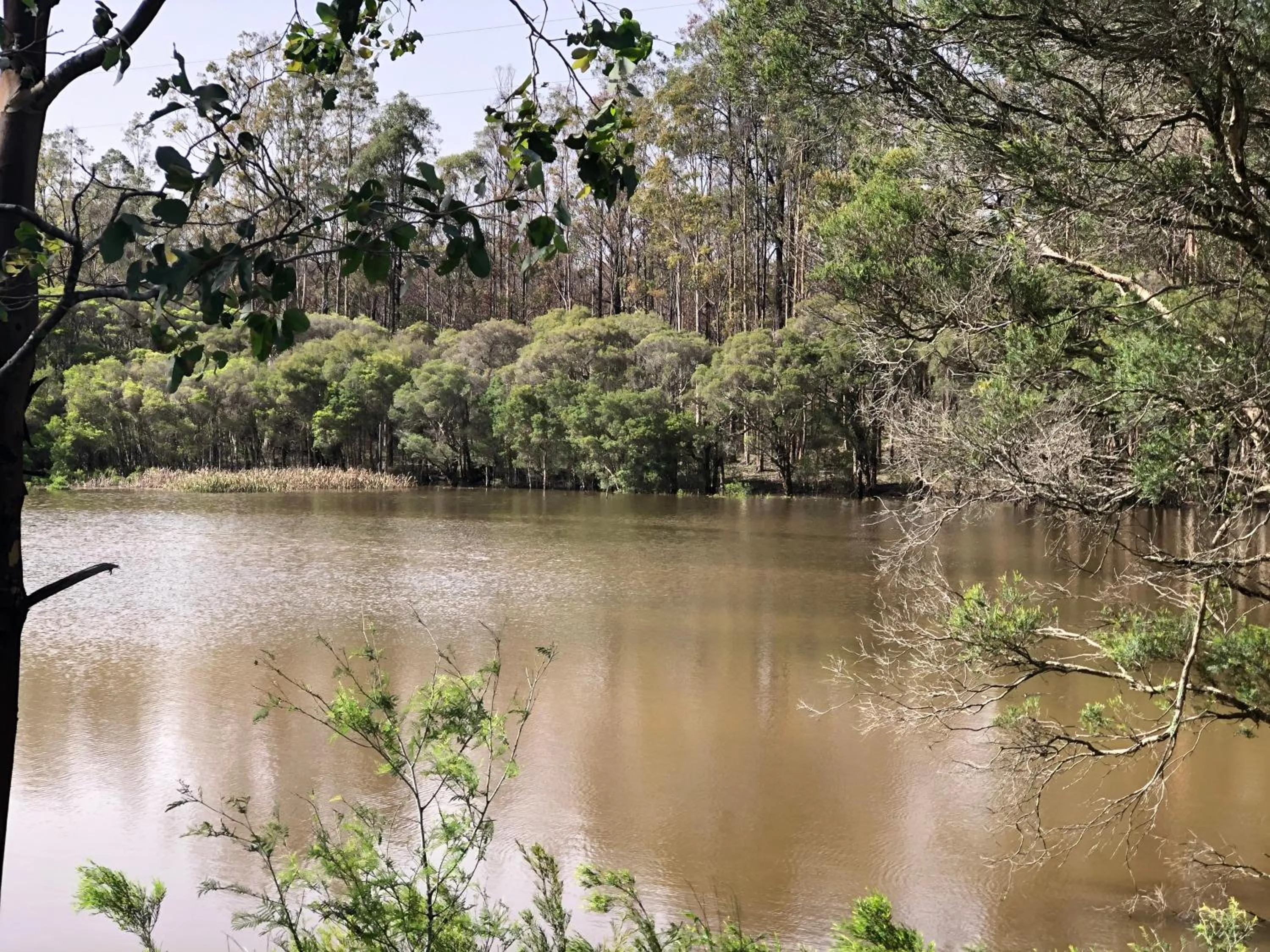 Natural landscape in Tuckers Lane Boutique Accommodation