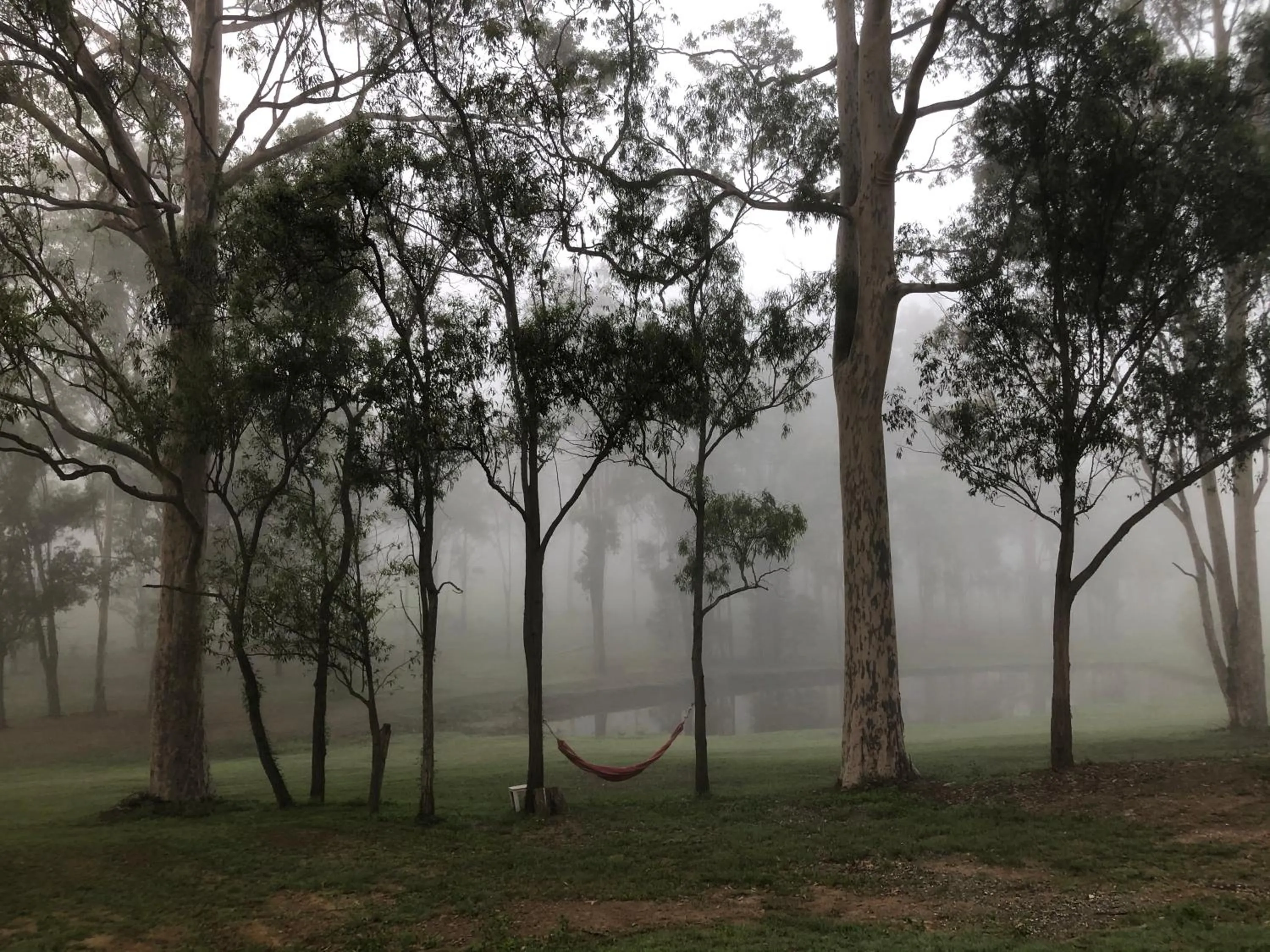 Natural landscape in Tuckers Lane Boutique Accommodation